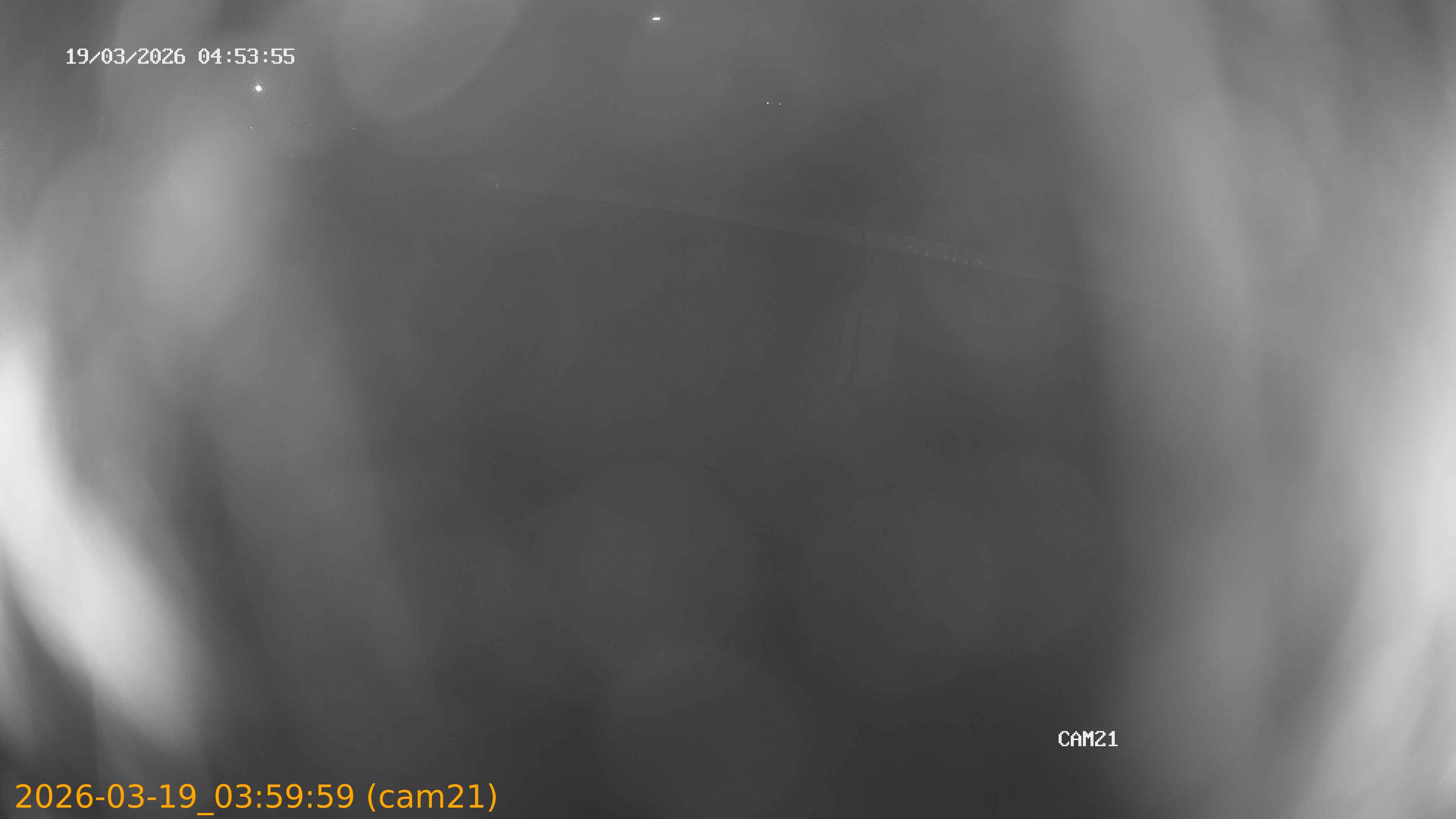 thumbnail_2026031903