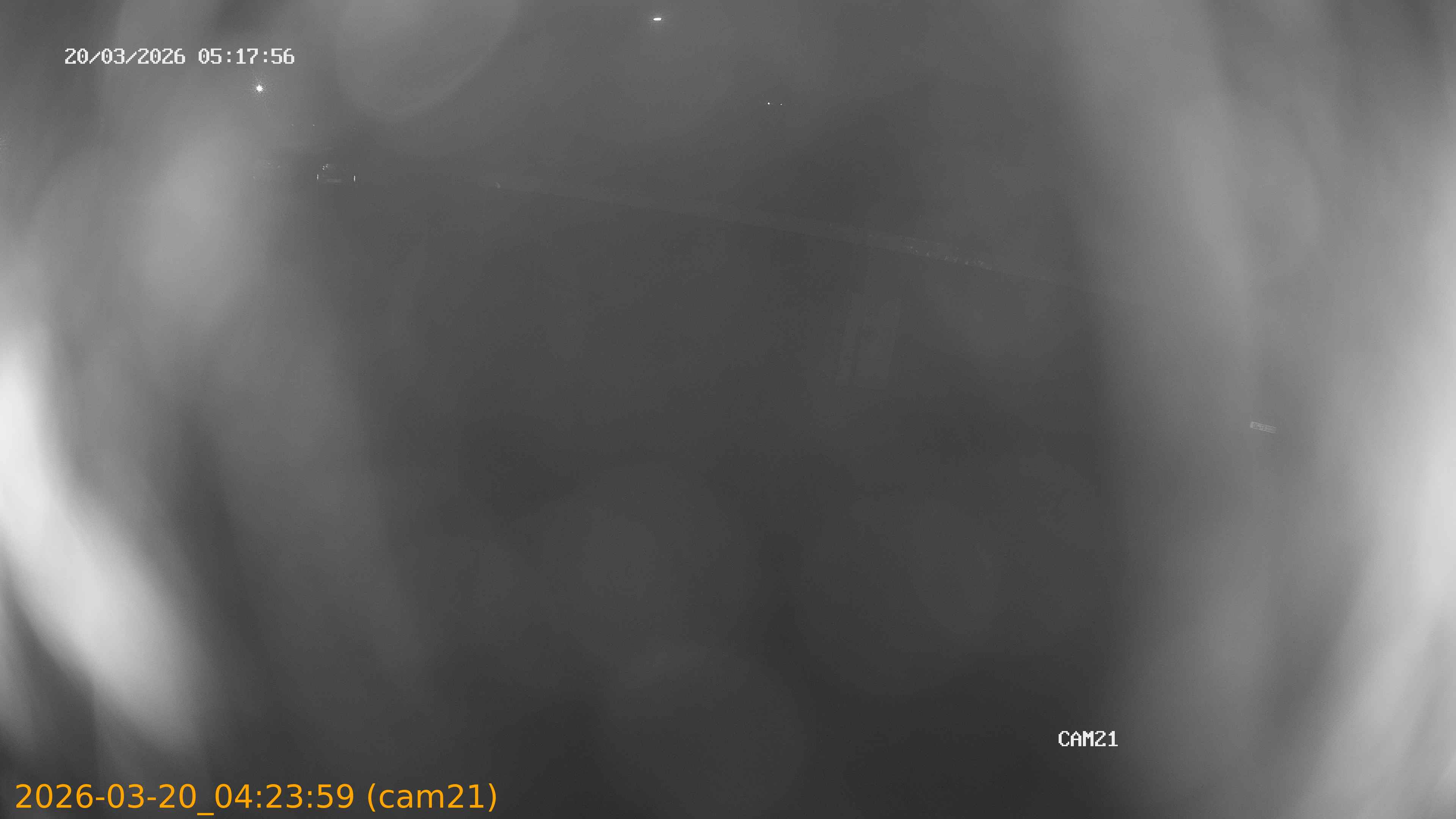 thumbnail_202603200423