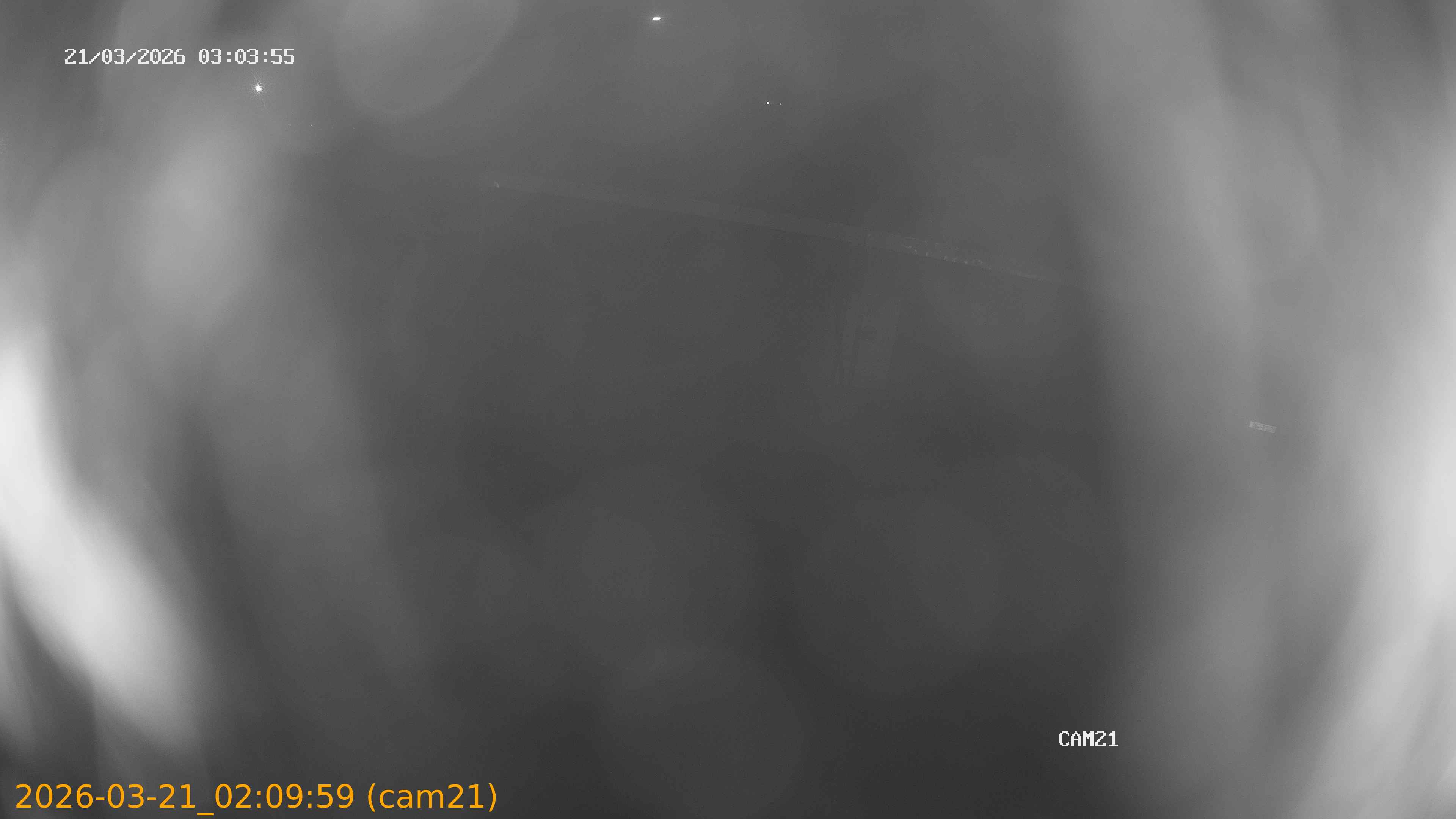 thumbnail_202603210209