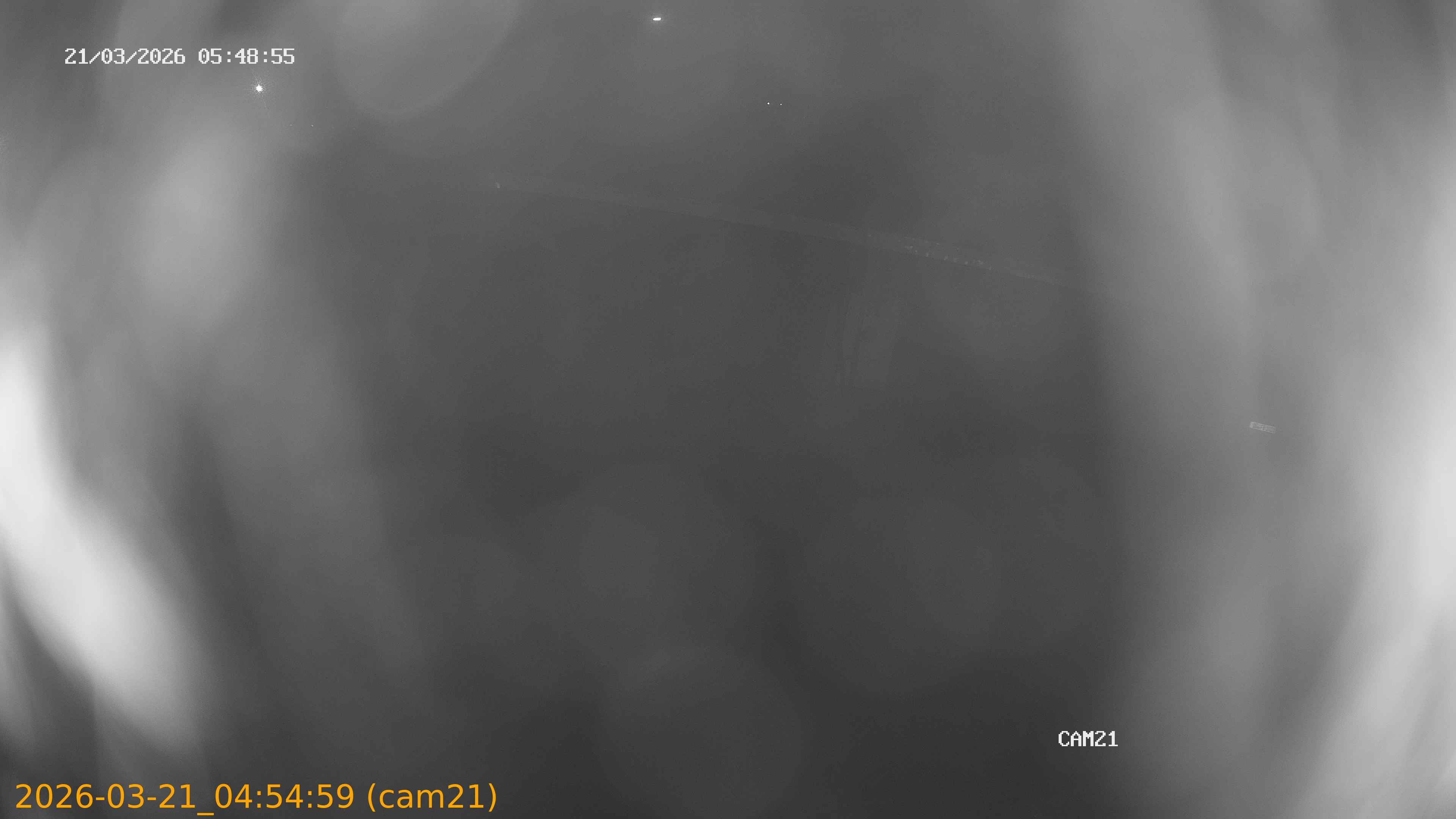 thumbnail_202603210454