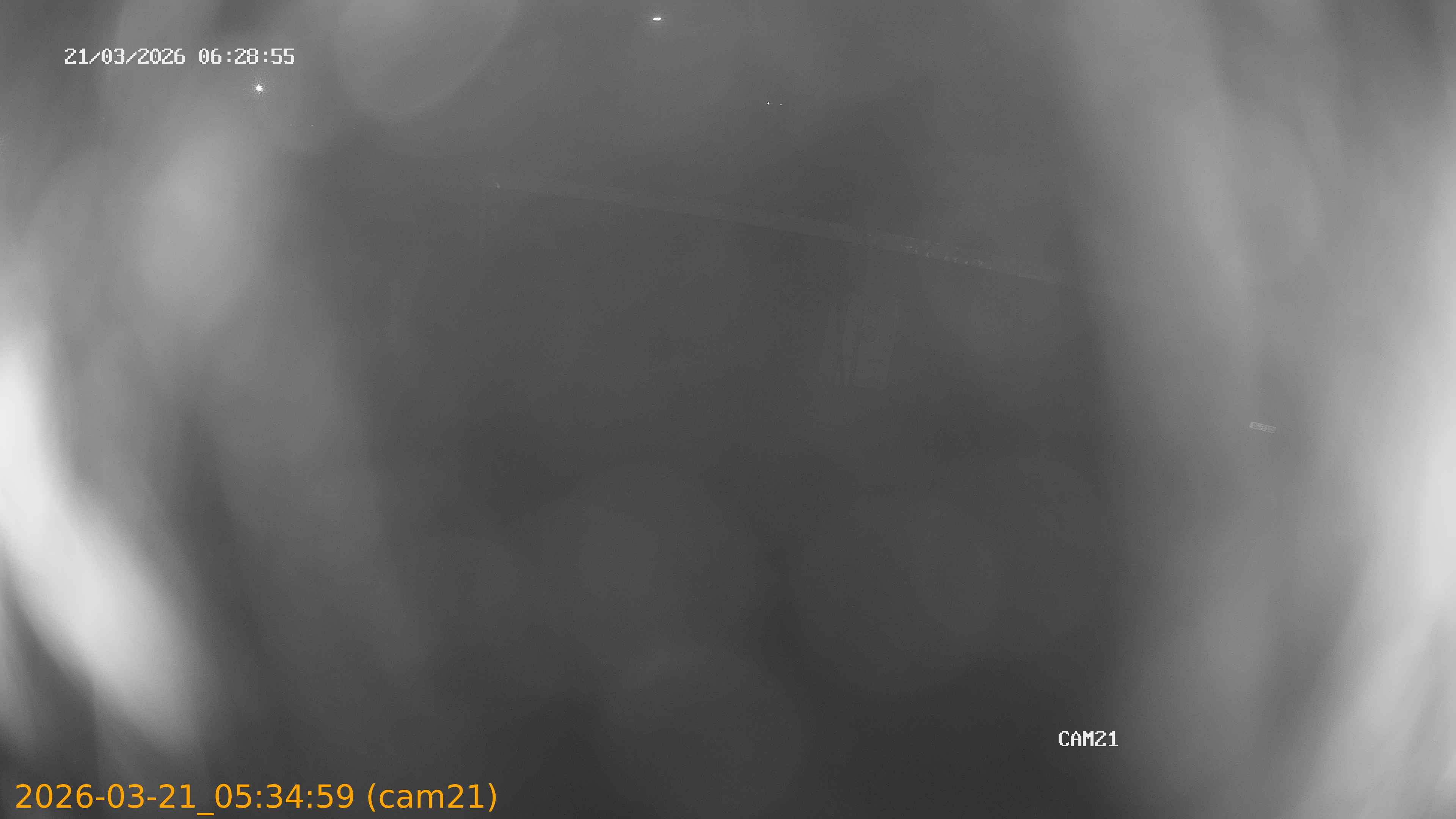 thumbnail_202603210534