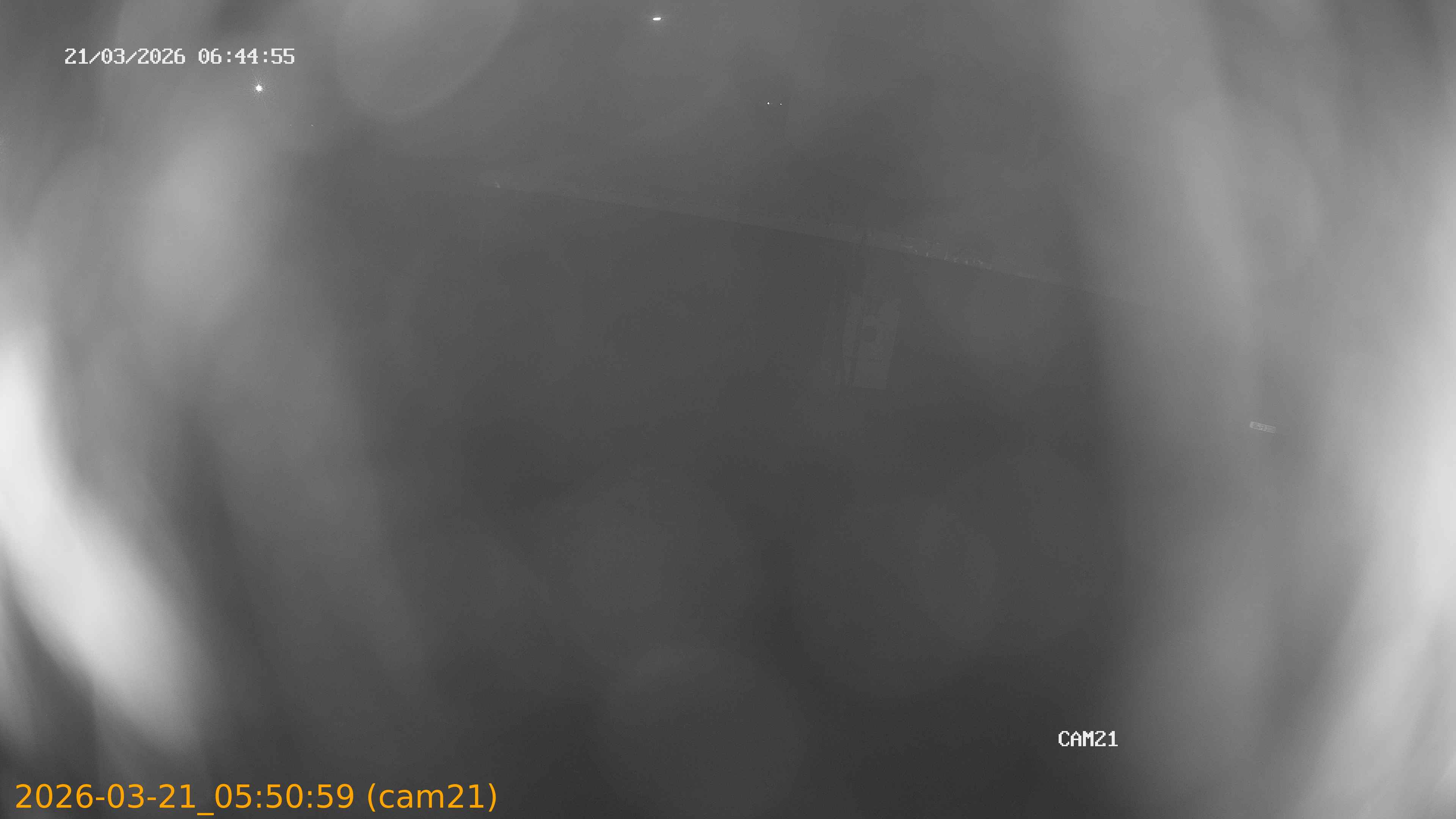 thumbnail_202603210550