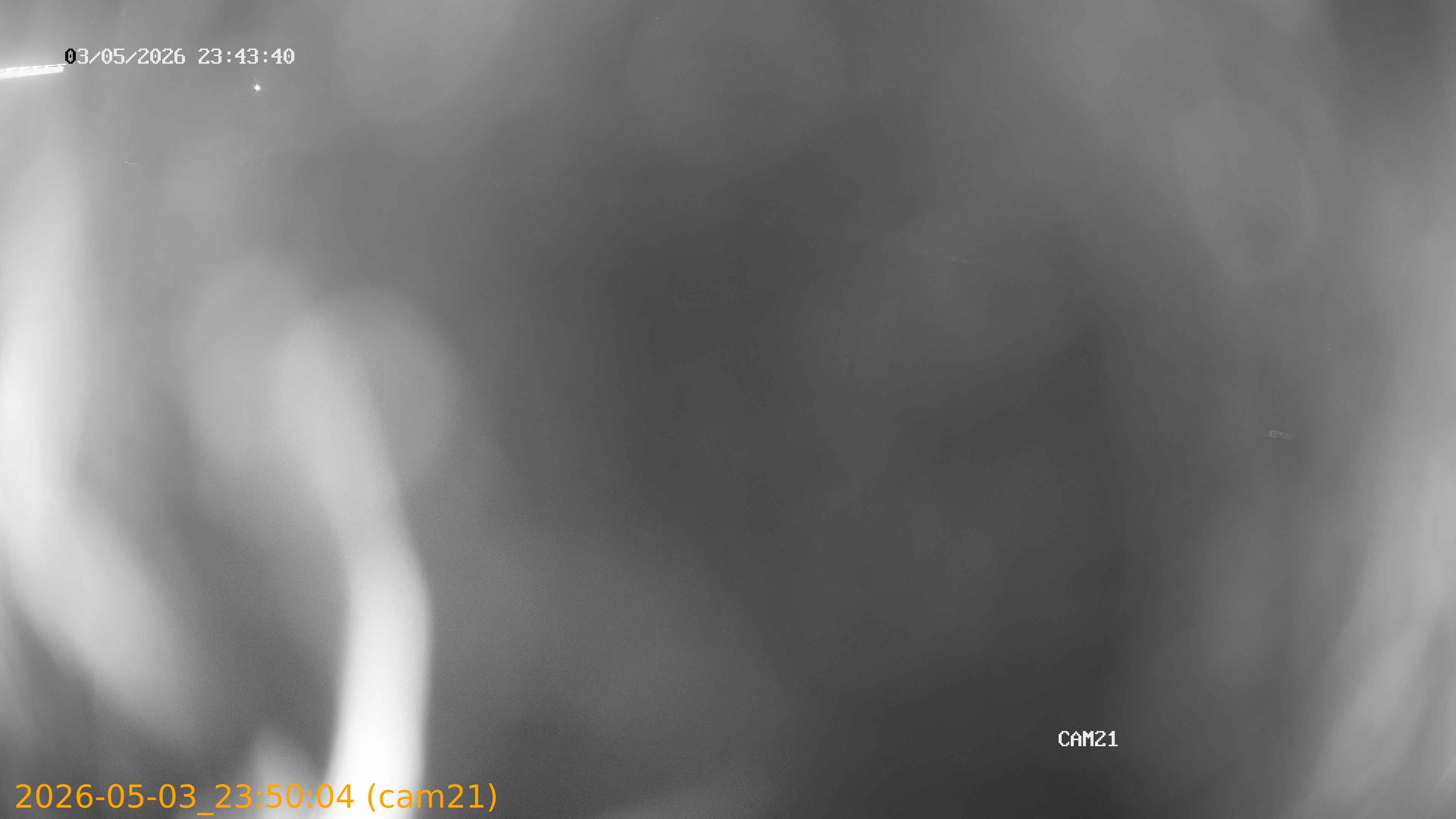 20260503235004