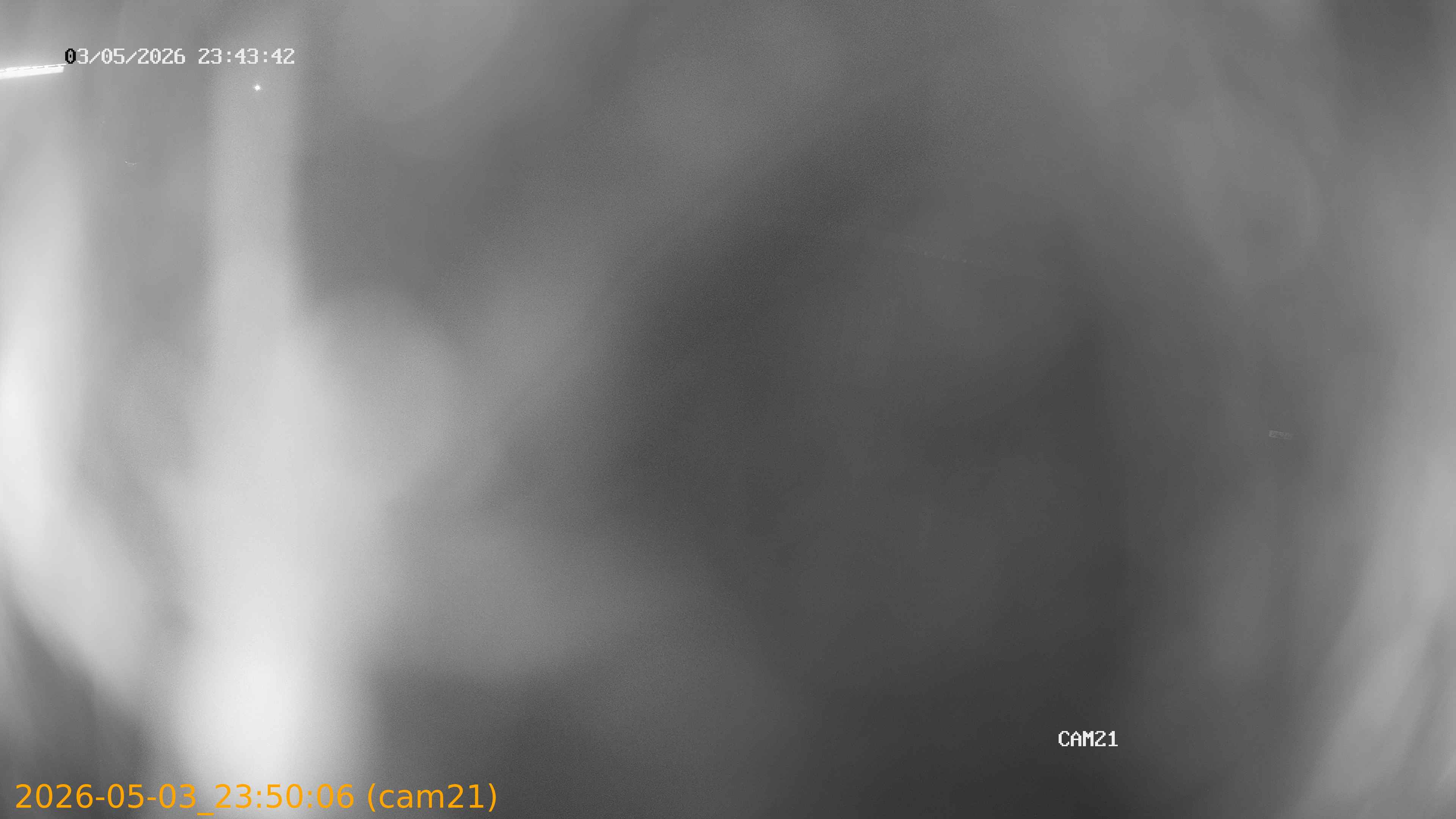20260503235006