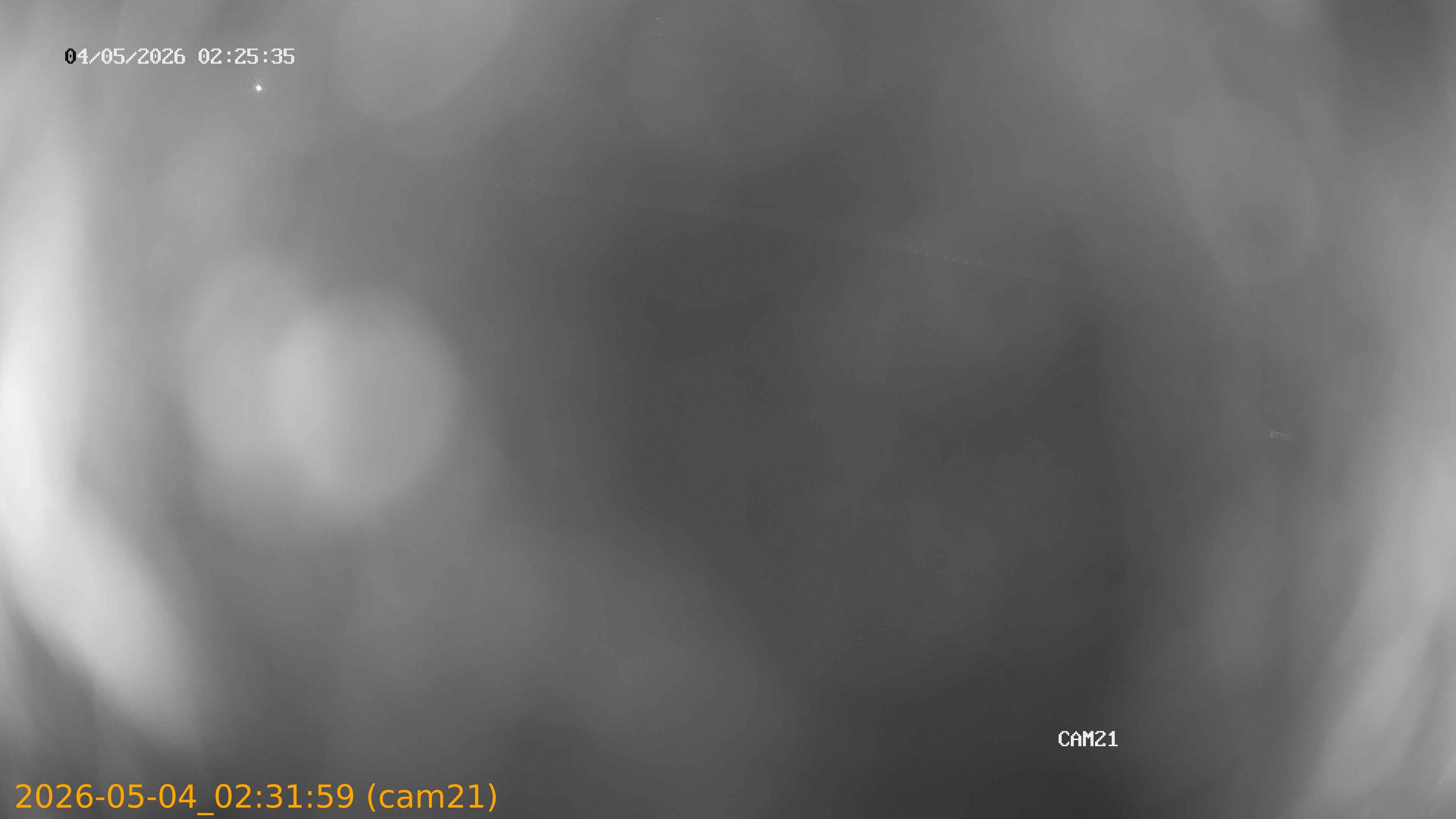 202605040231