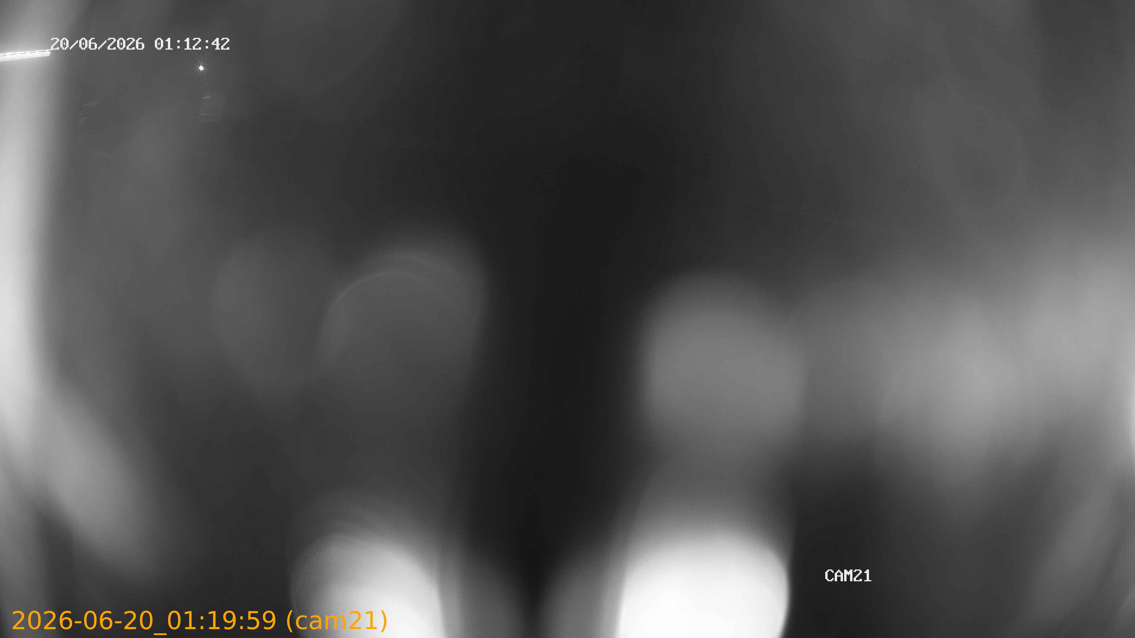 202606200119