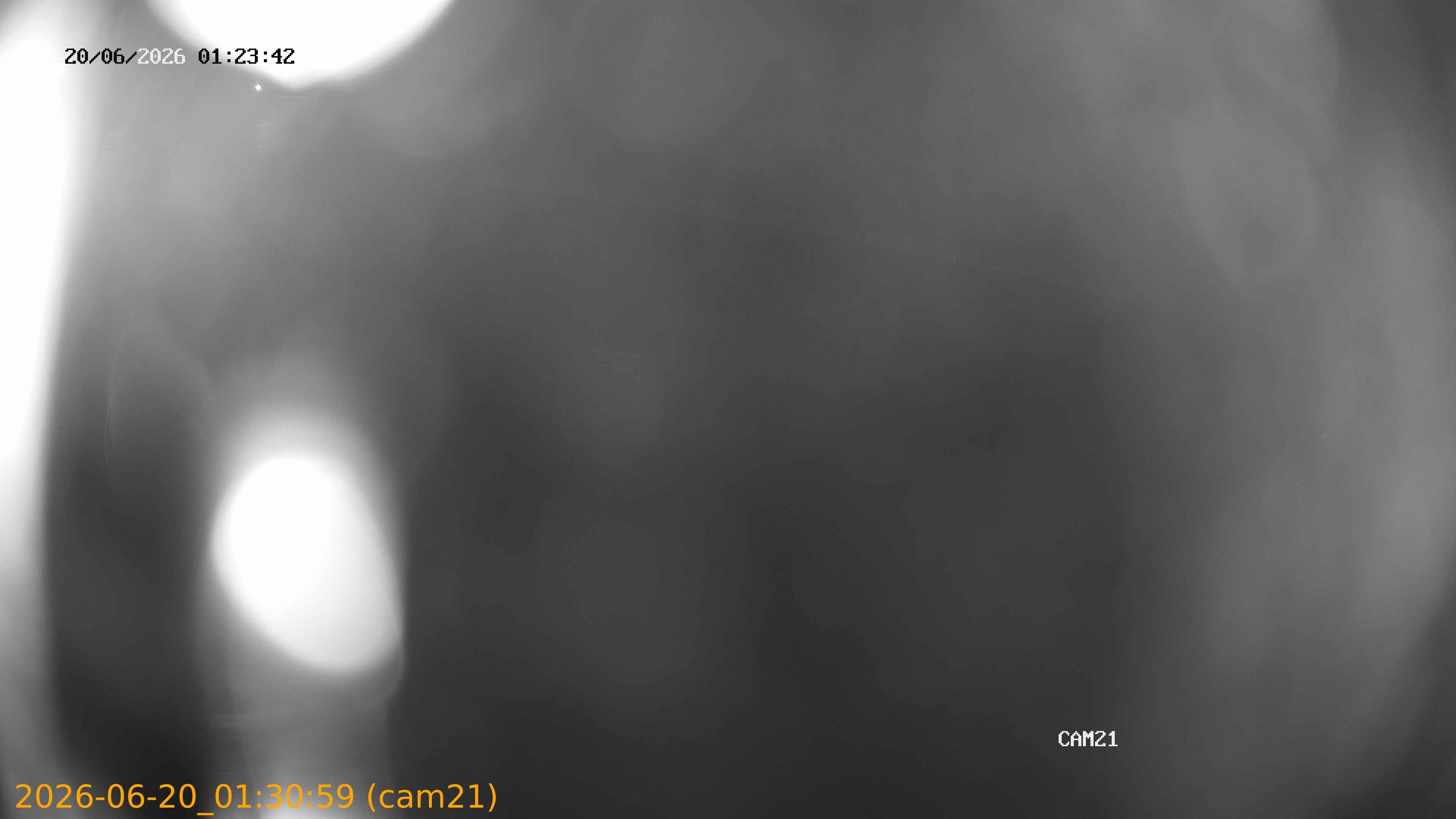 202606200130