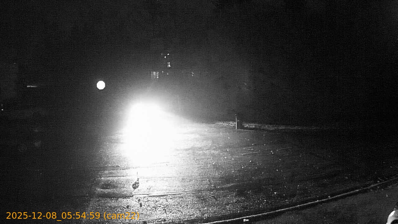 thumbnail_202512080554