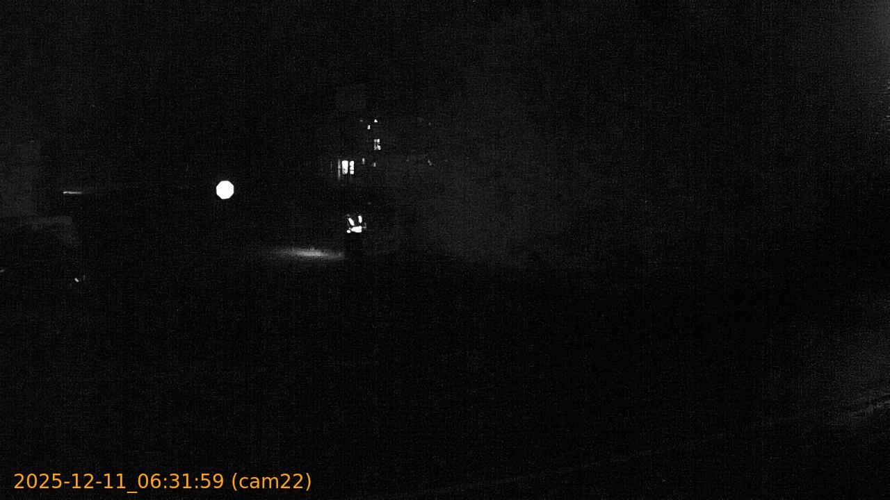 thumbnail_202512110631