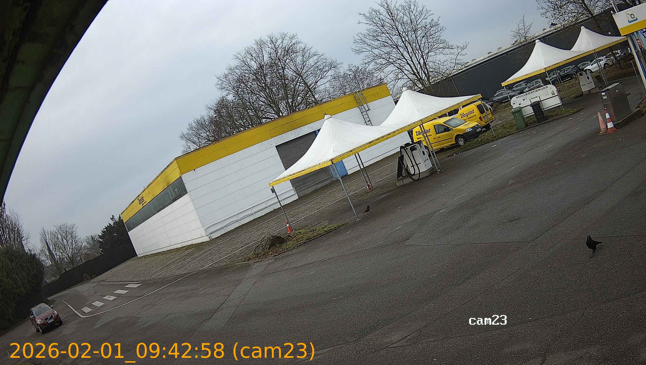 thumbnail_20260201094258