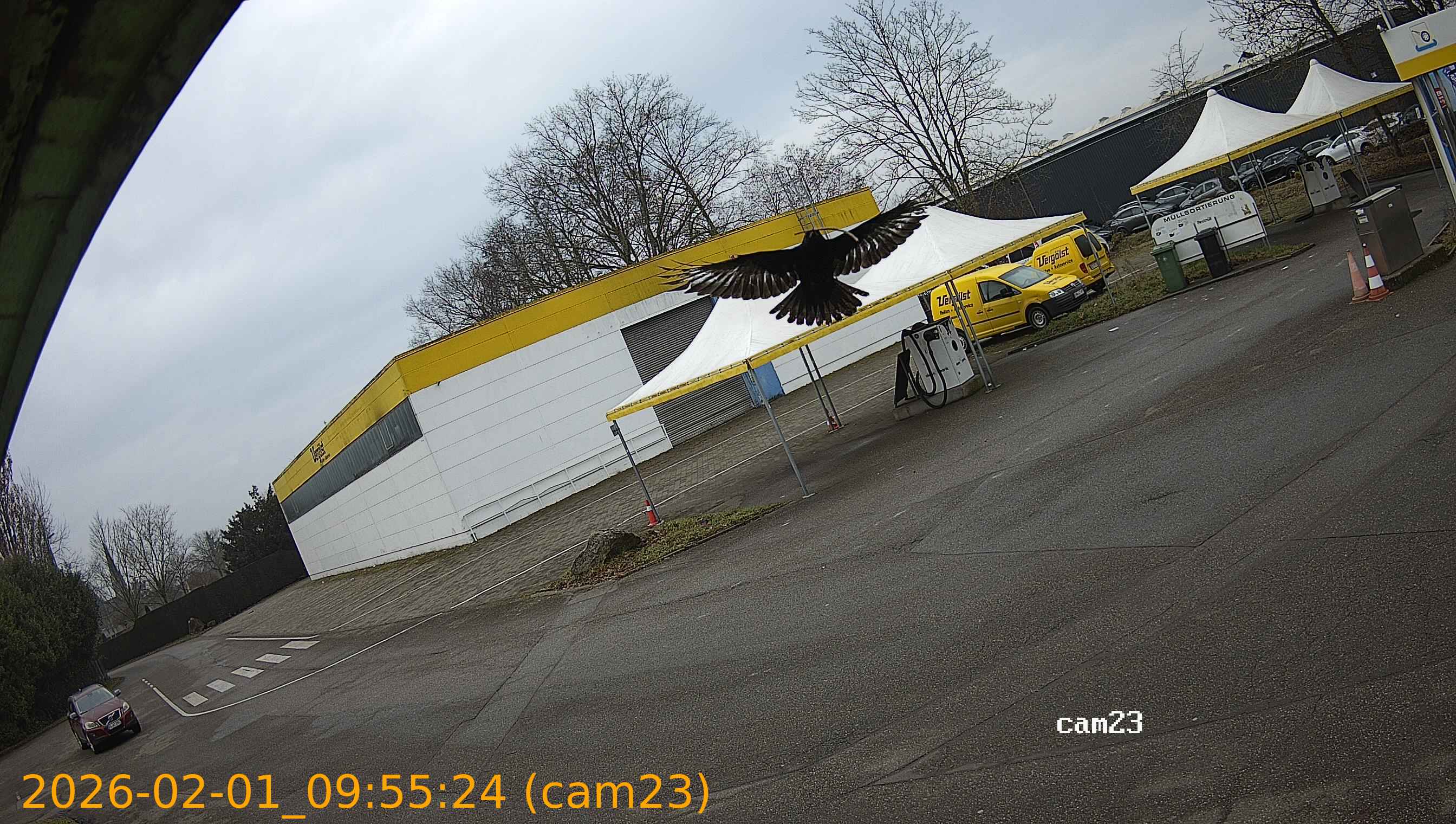 thumbnail_20260201095523