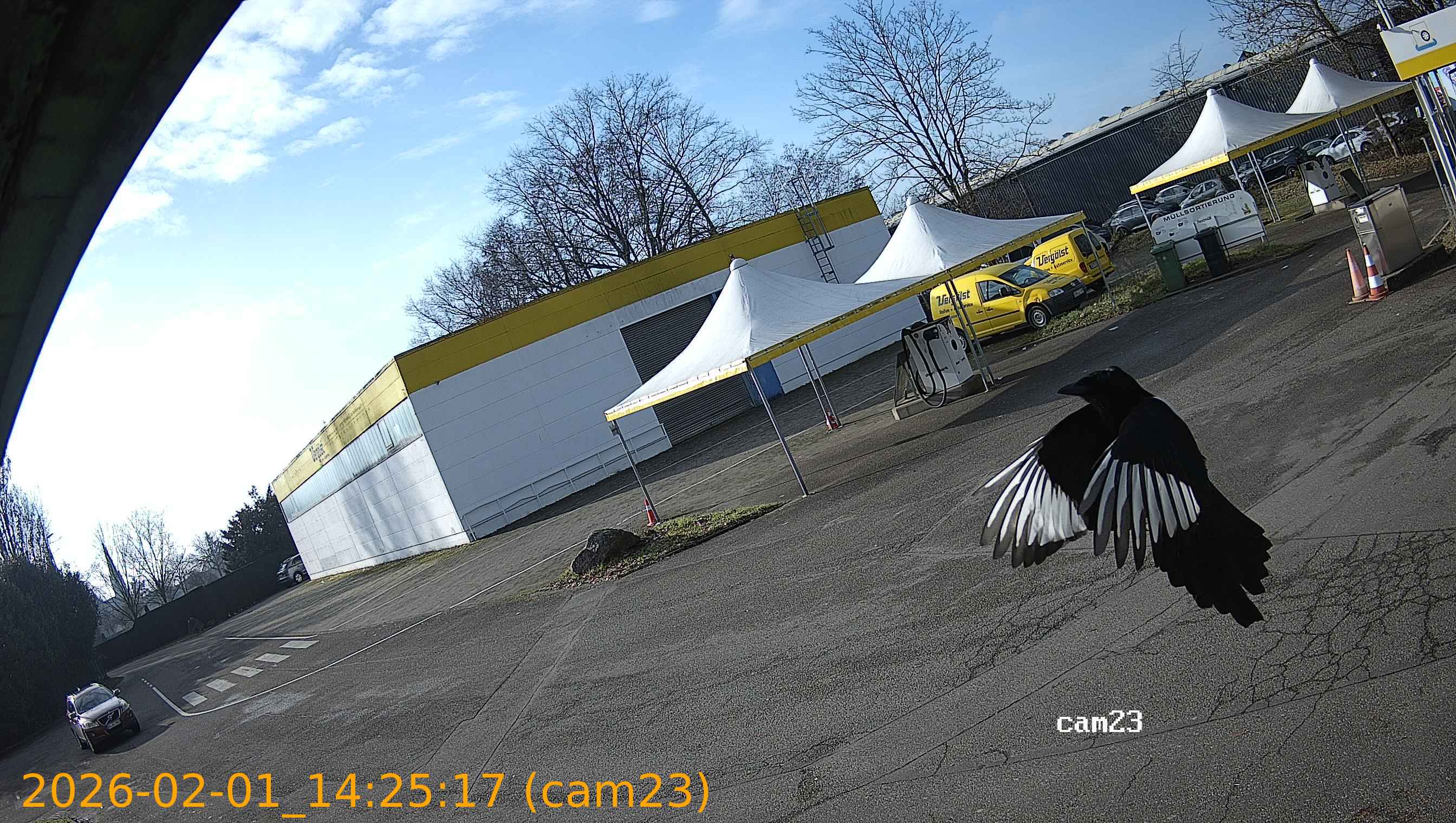 thumbnail_20260201142517