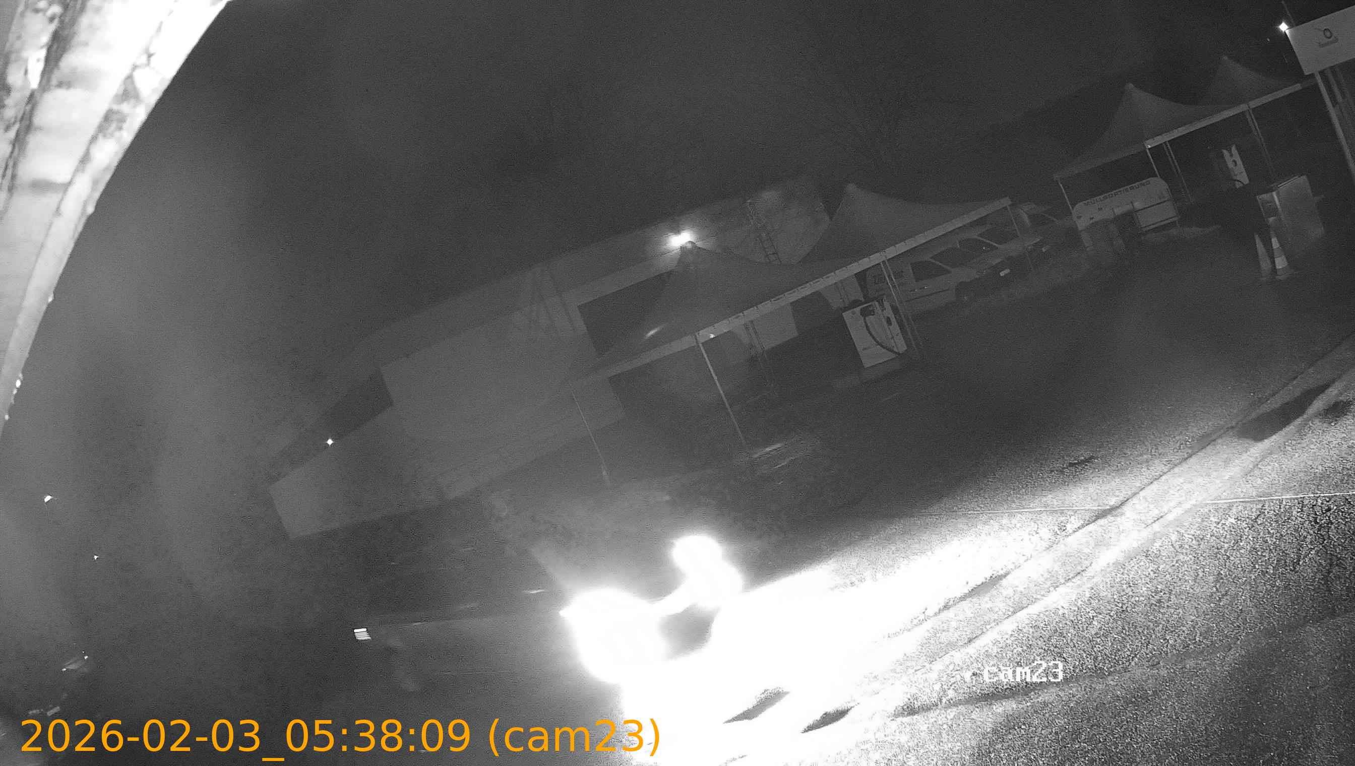 thumbnail_20260203053809