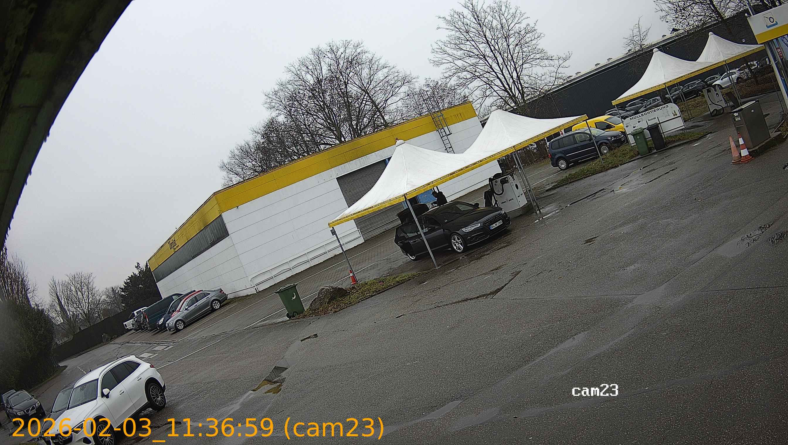 thumbnail_202602031136