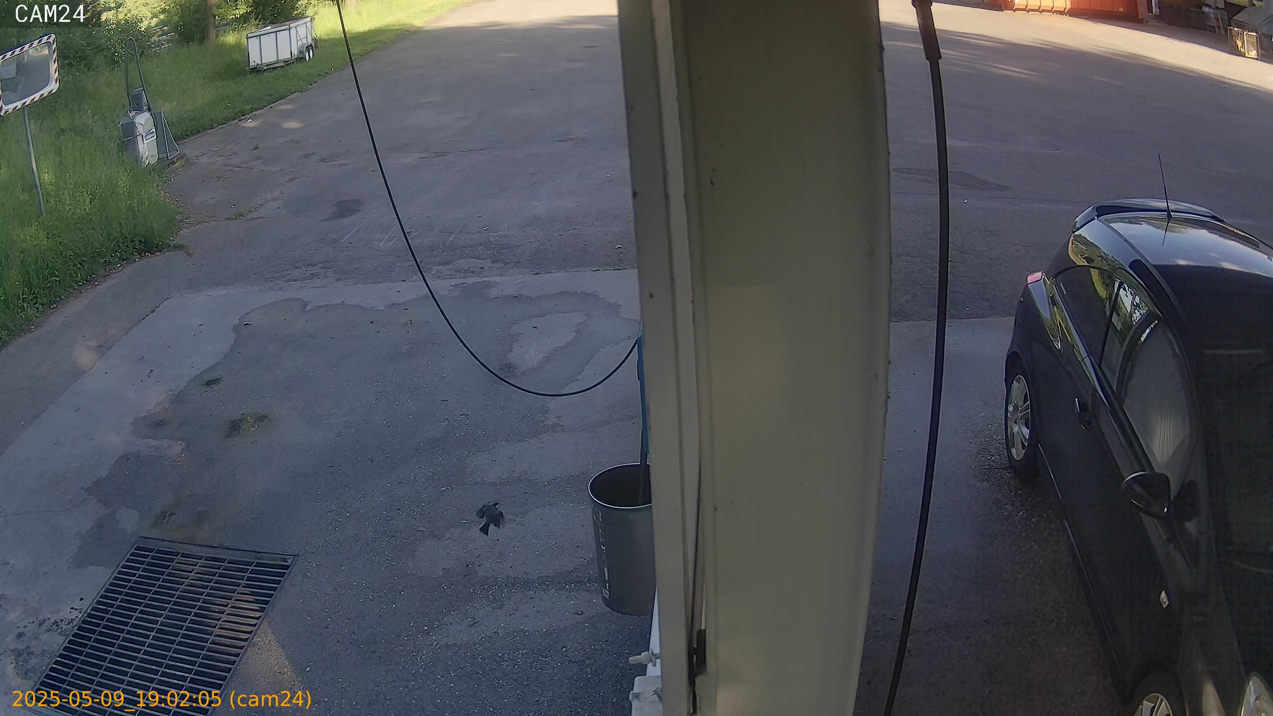 thumbnail_20250509190205