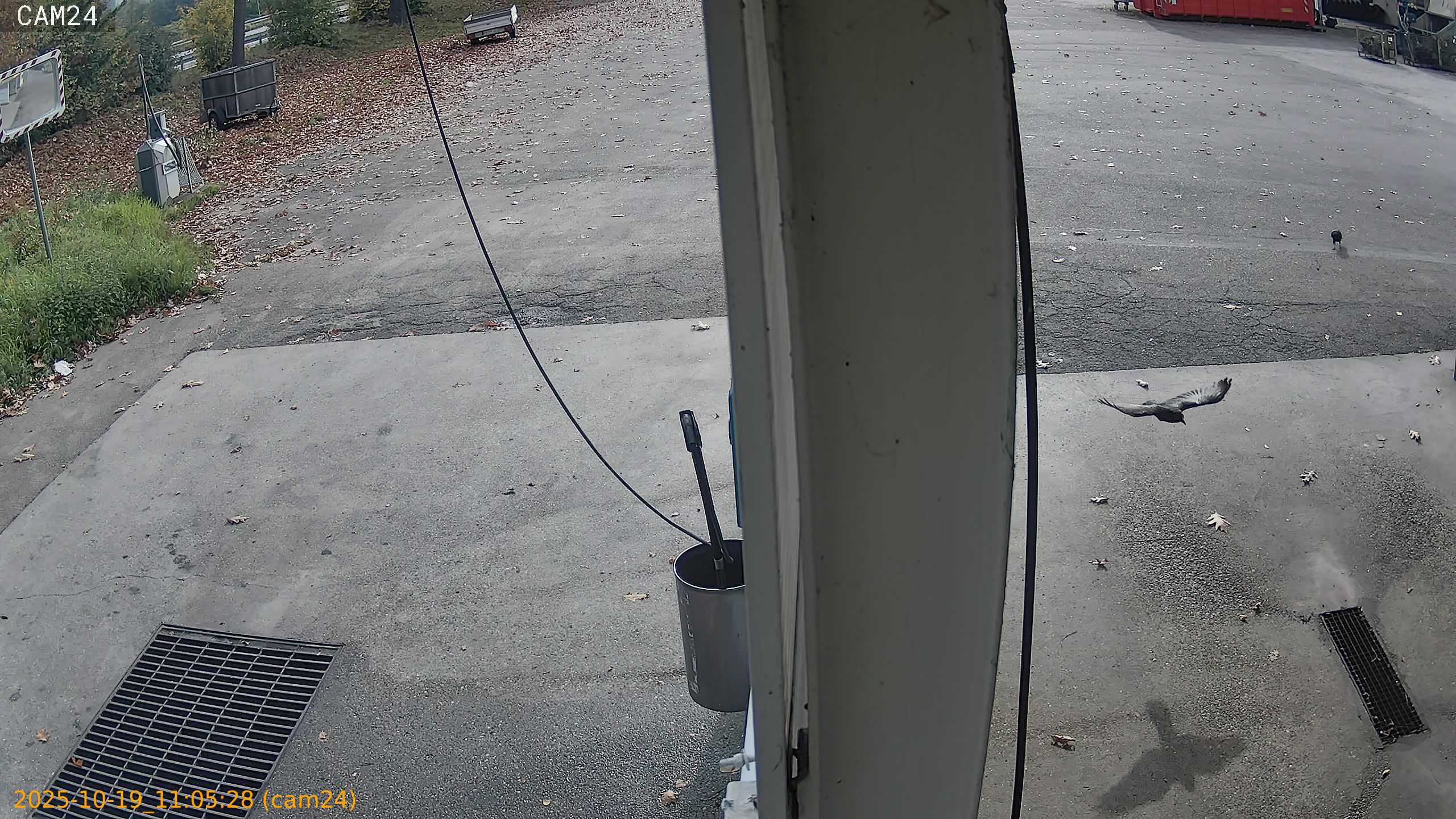 thumbnail_20251019110528