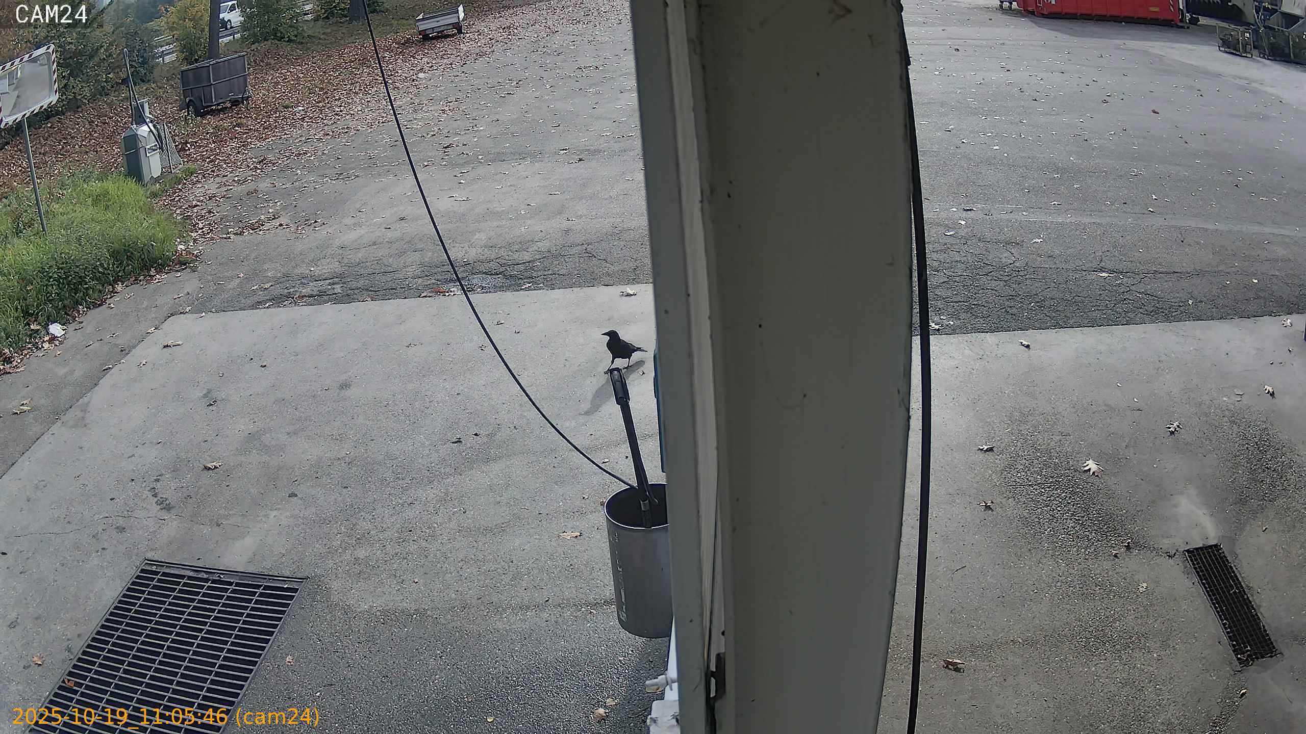 thumbnail_20251019110546