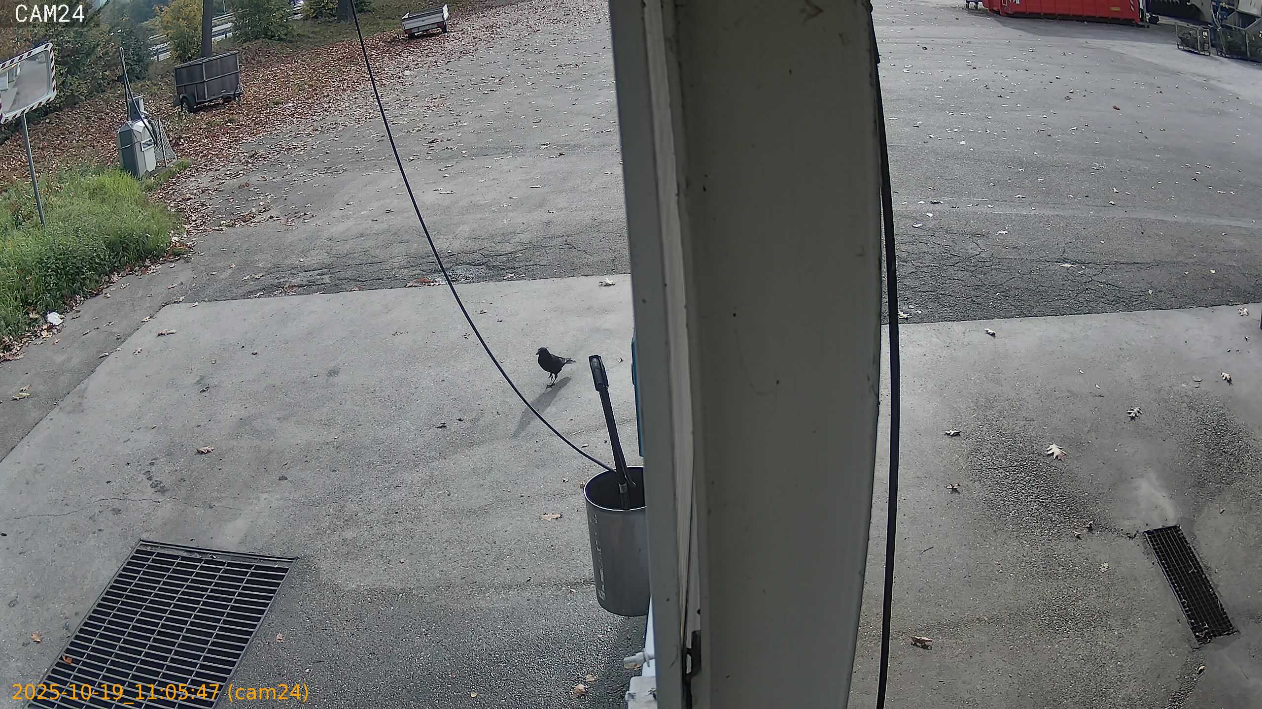 thumbnail_20251019110547