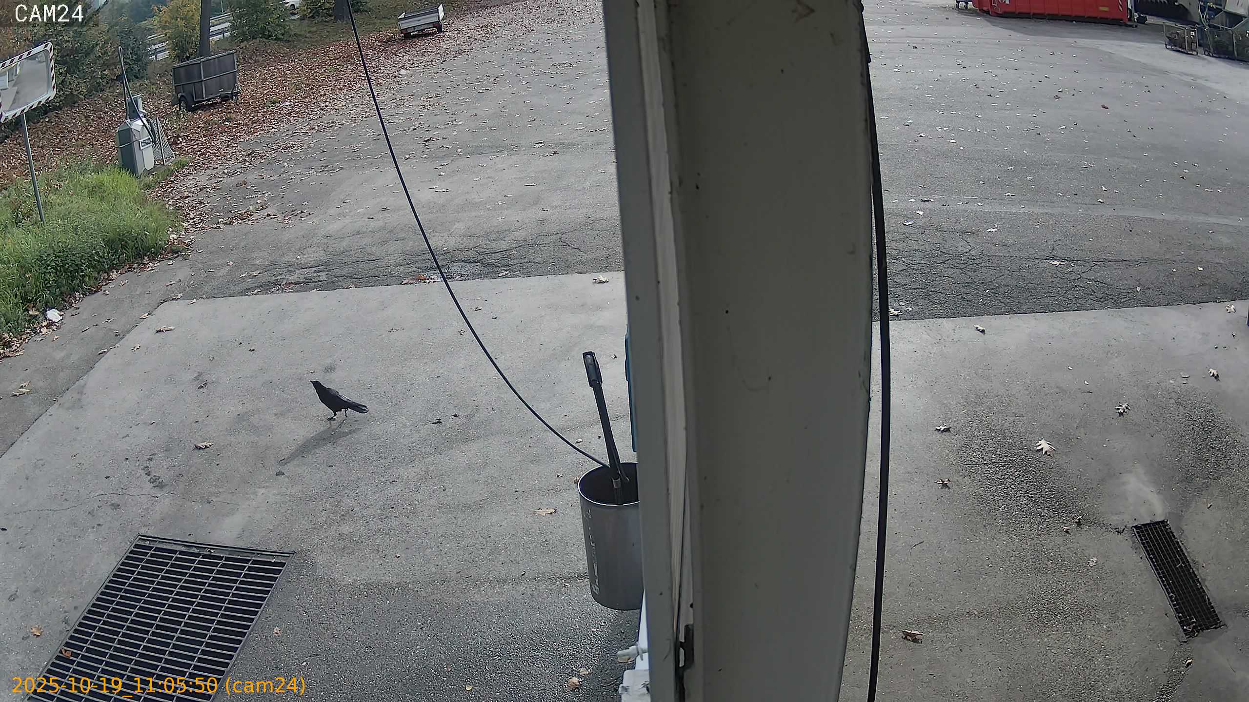 thumbnail_20251019110550