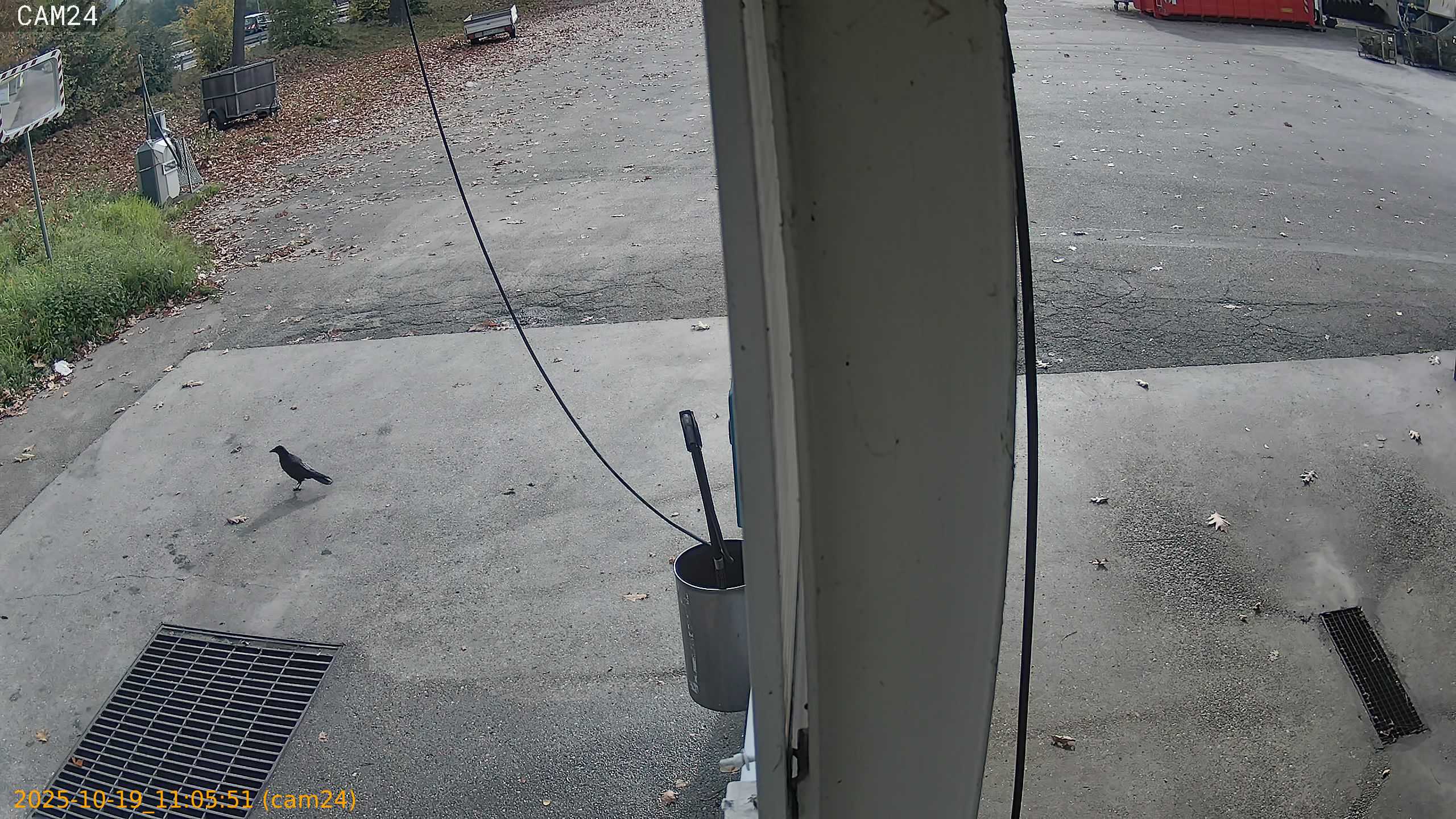 thumbnail_20251019110551