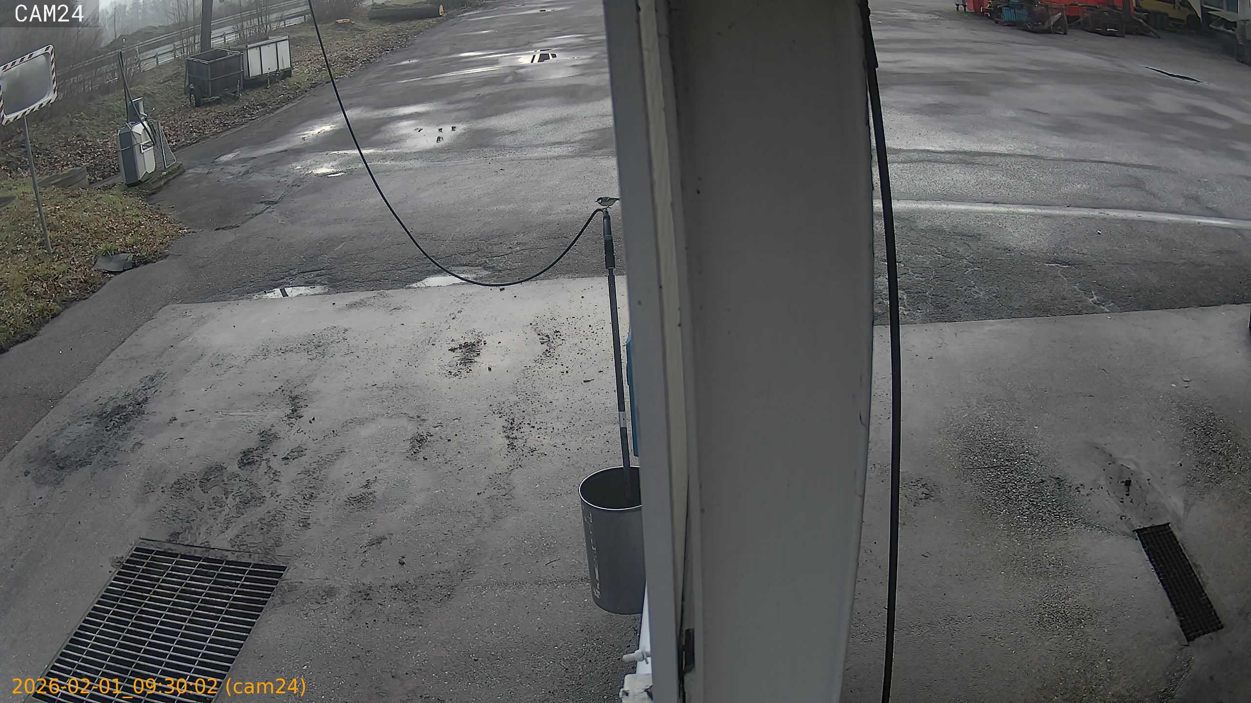 thumbnail_20260201093002