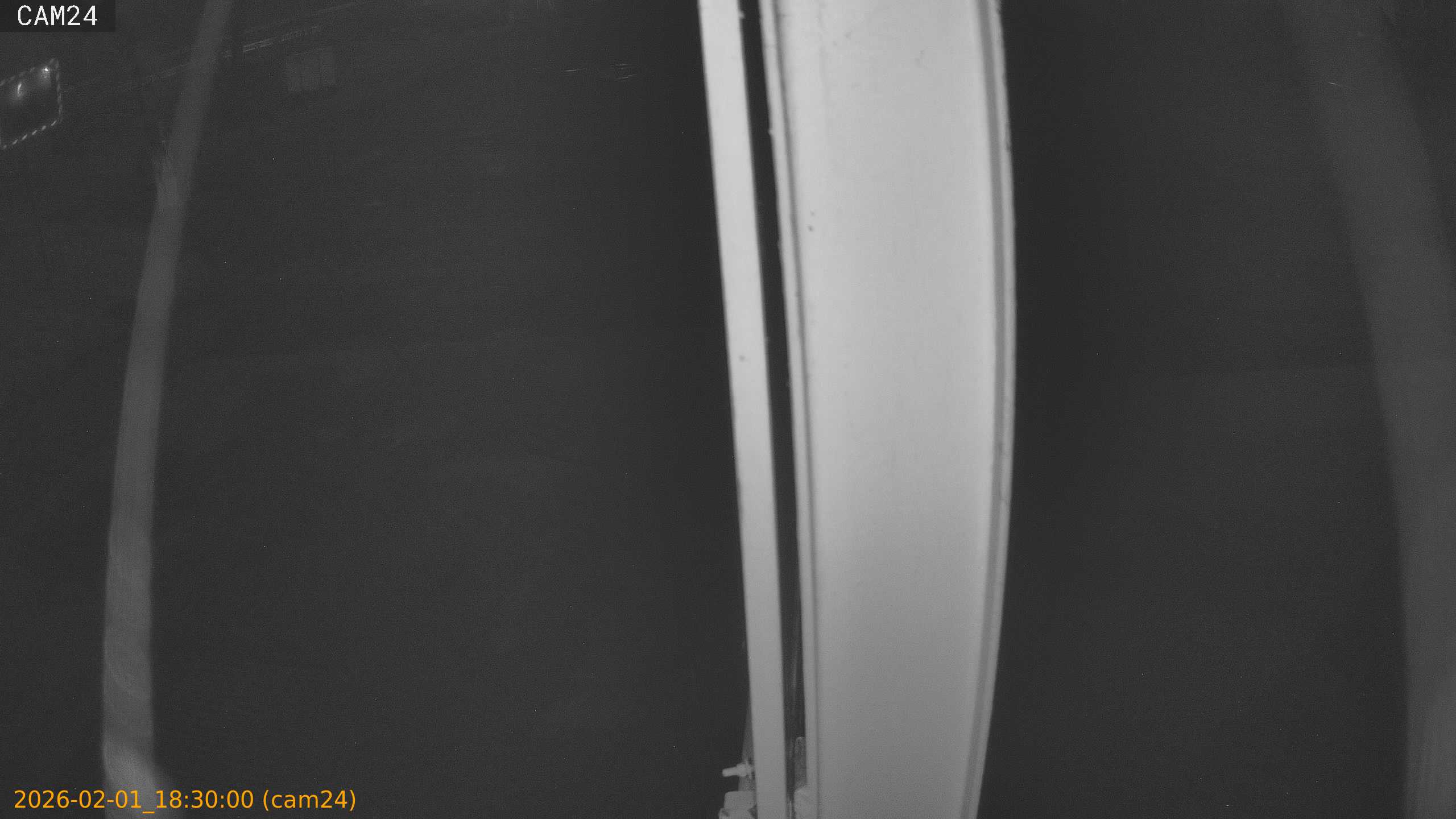 thumbnail_20260201183000