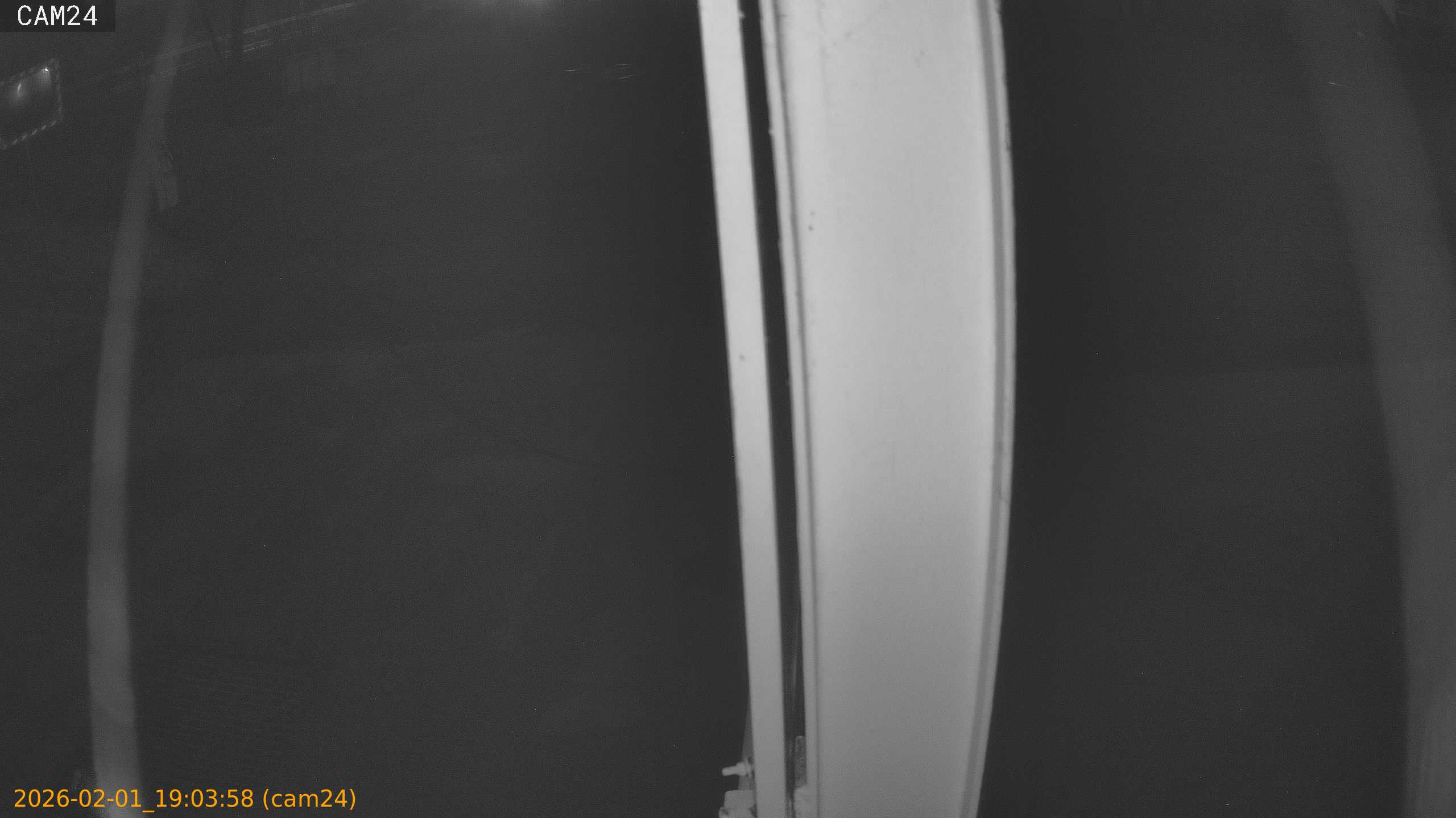 thumbnail_20260201190358