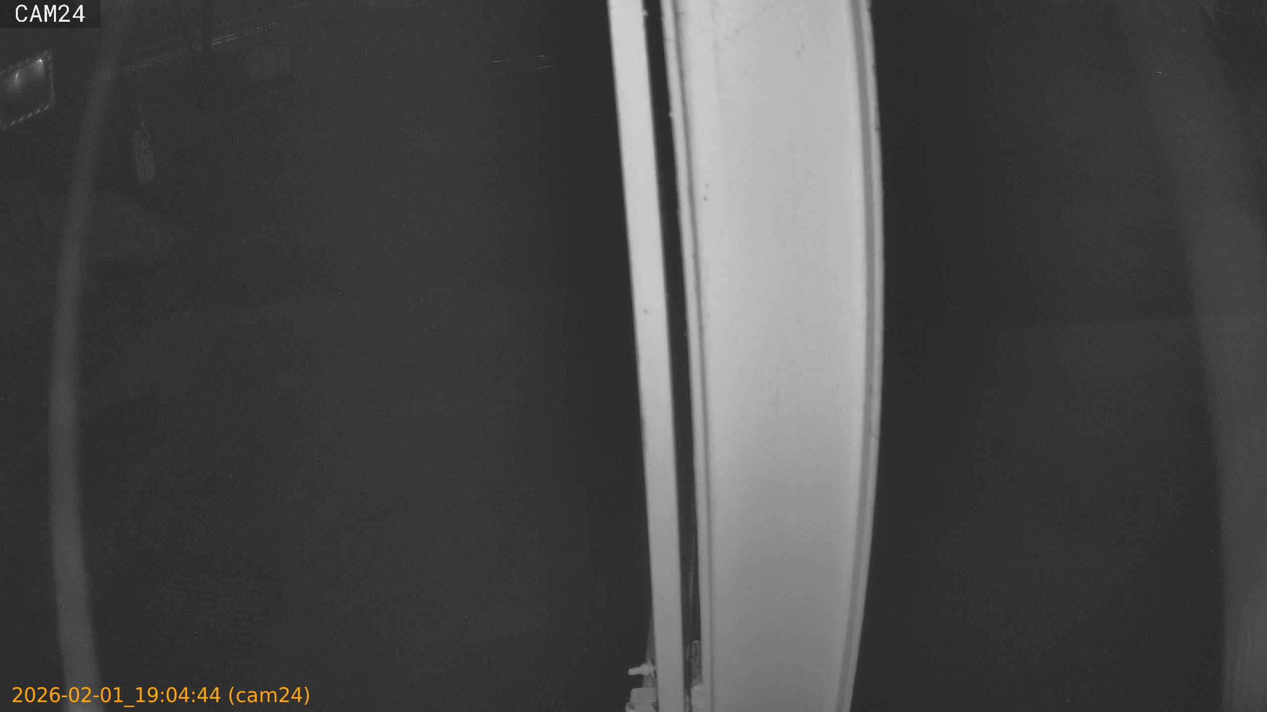 thumbnail_20260201190444