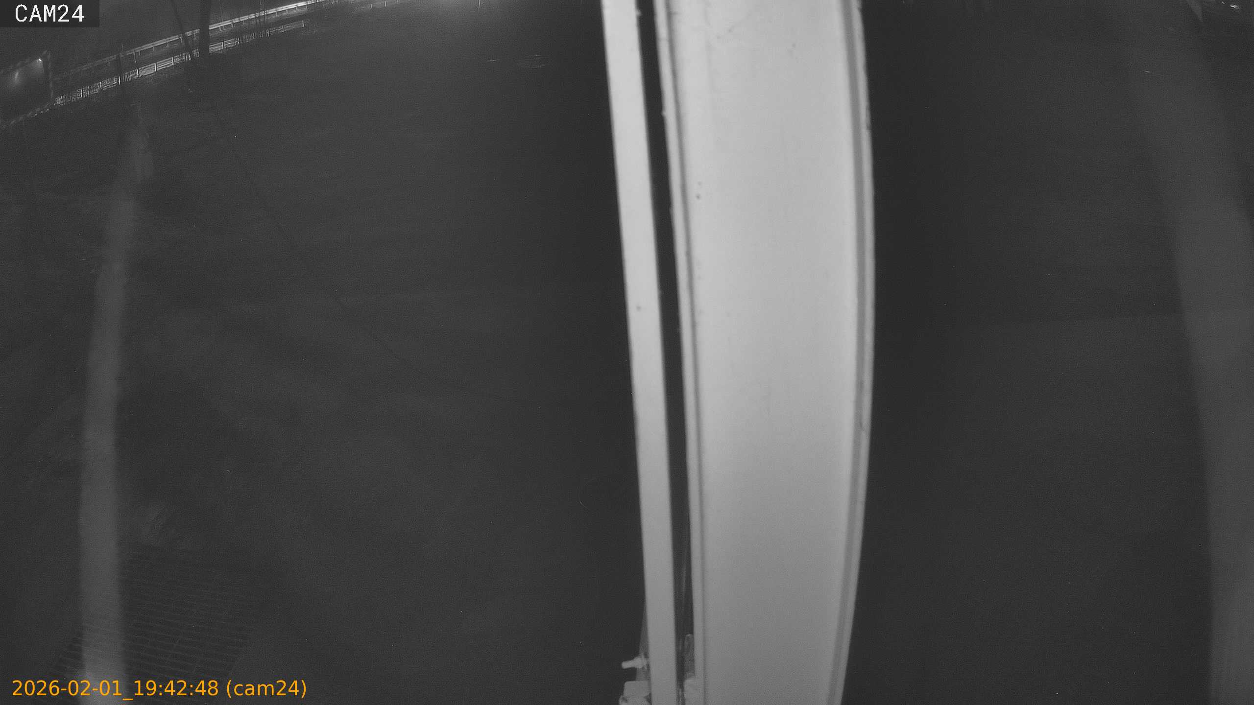 thumbnail_20260201194248