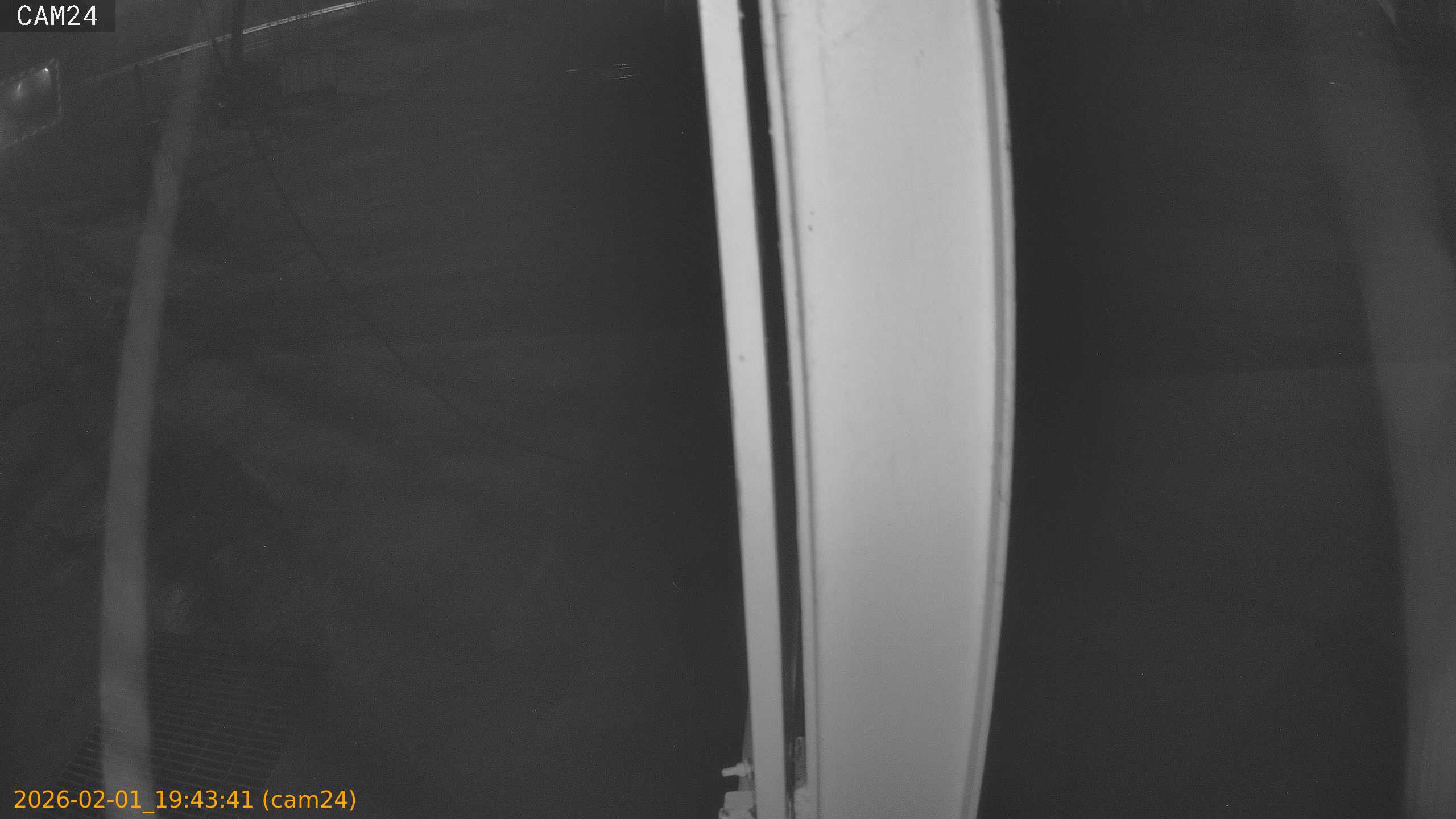 thumbnail_20260201194341