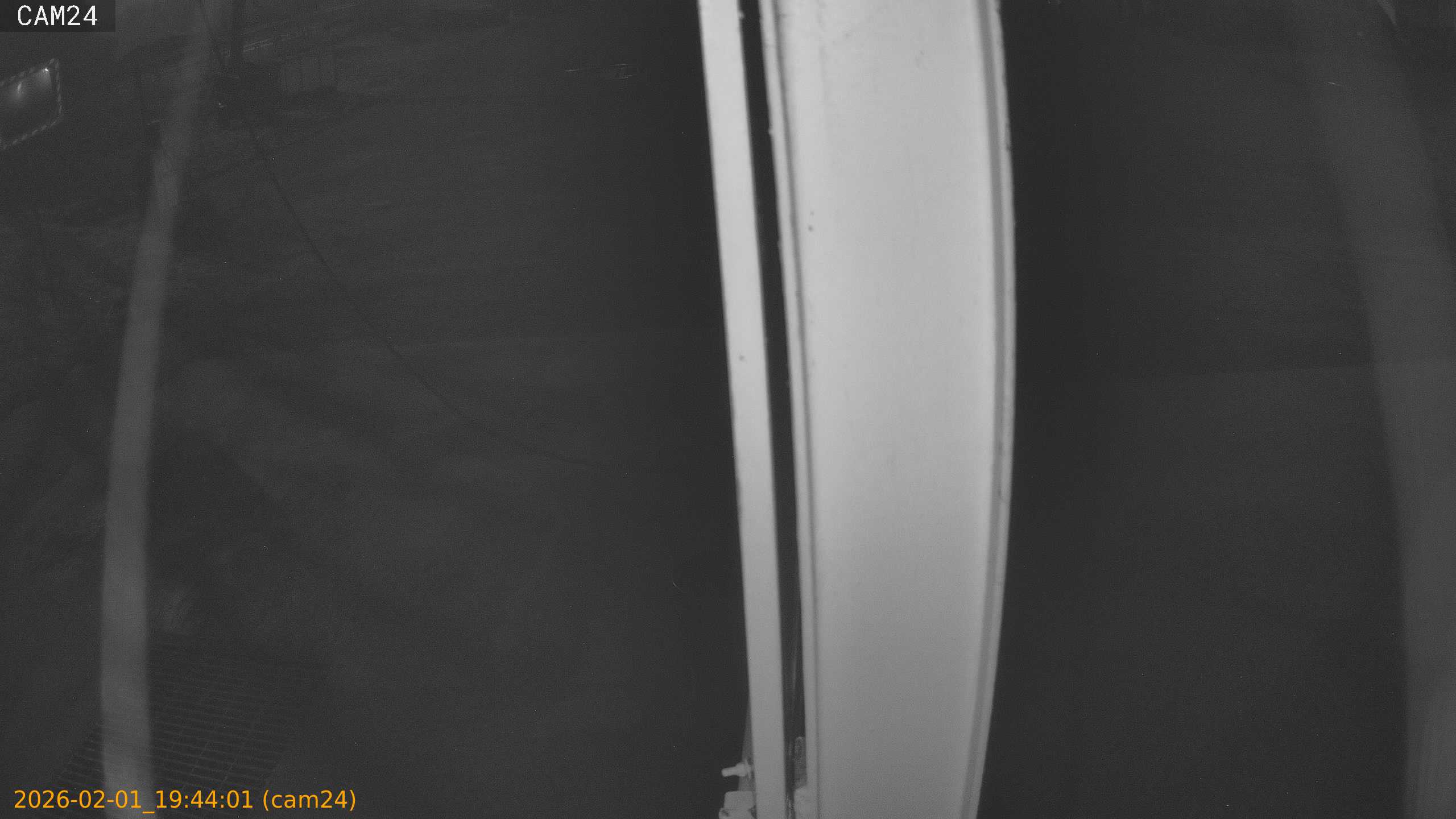 thumbnail_20260201194401