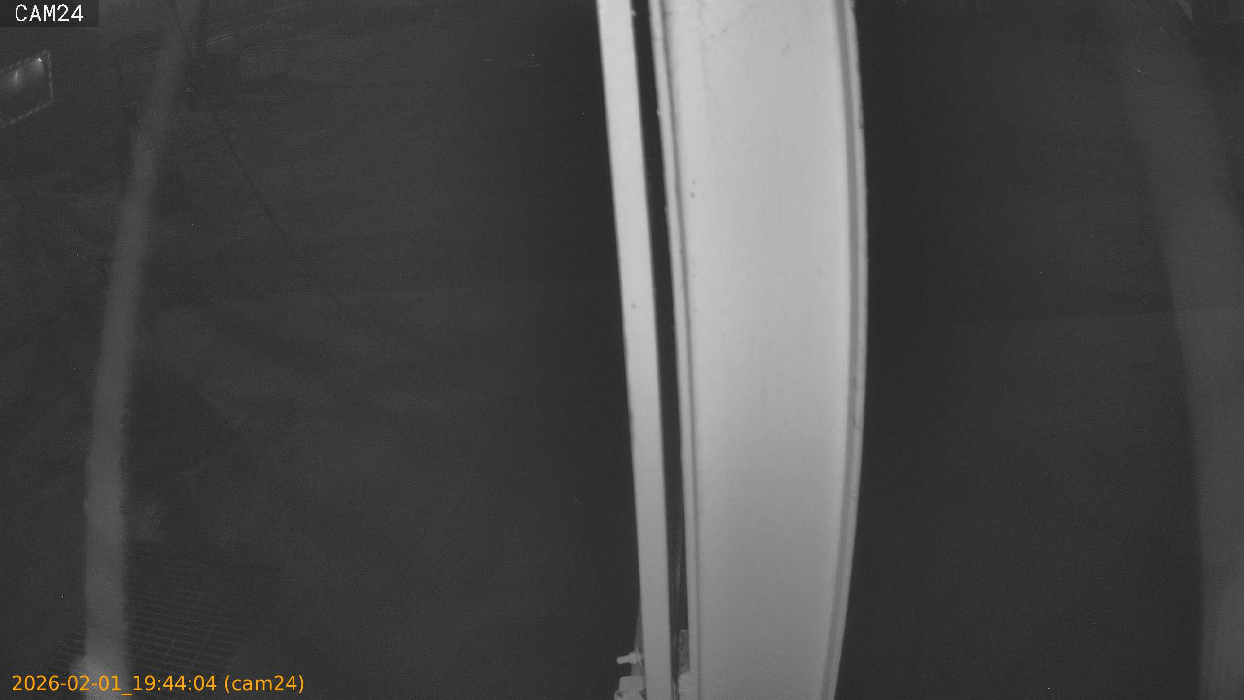 thumbnail_20260201194404