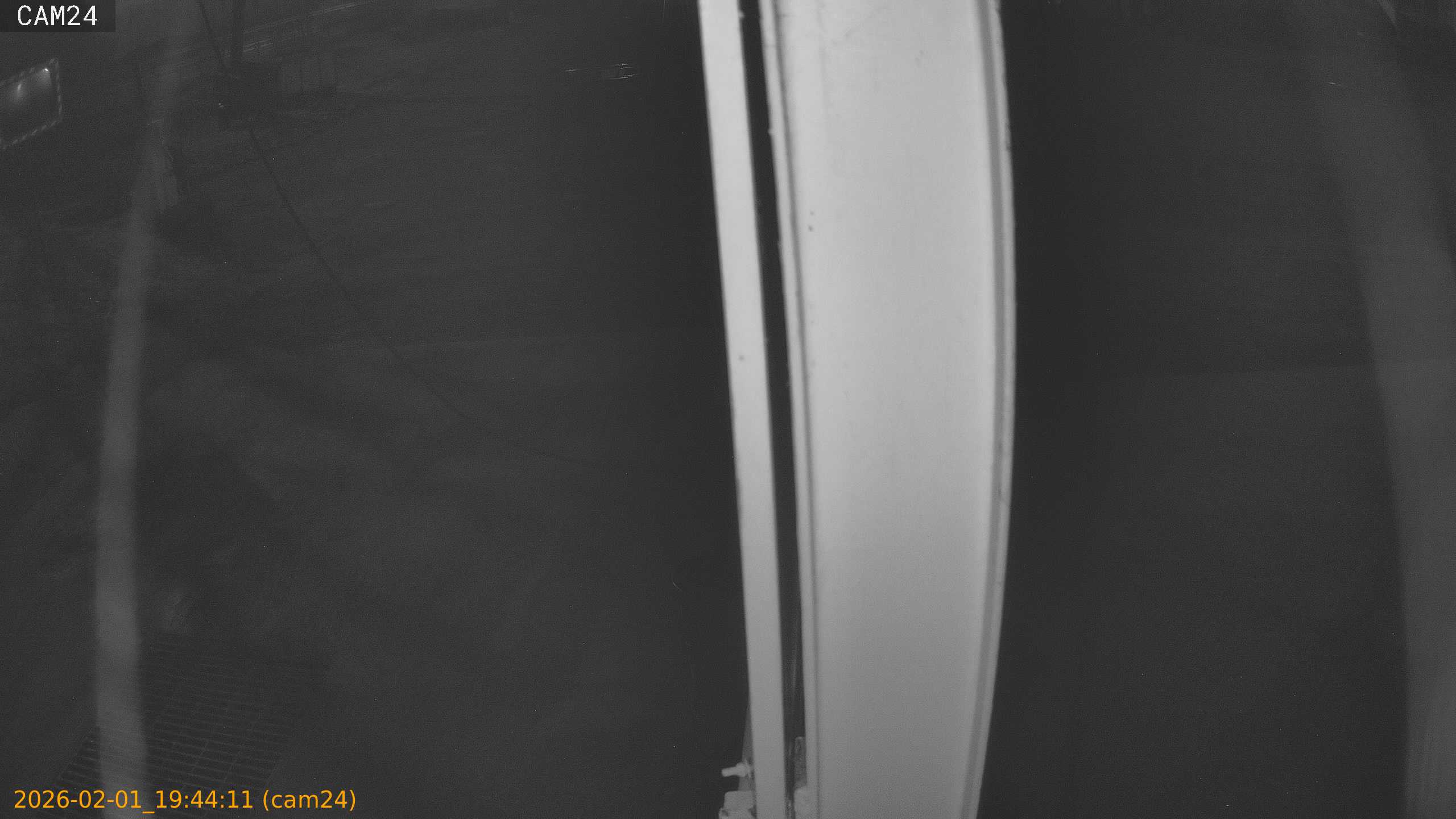 thumbnail_20260201194411