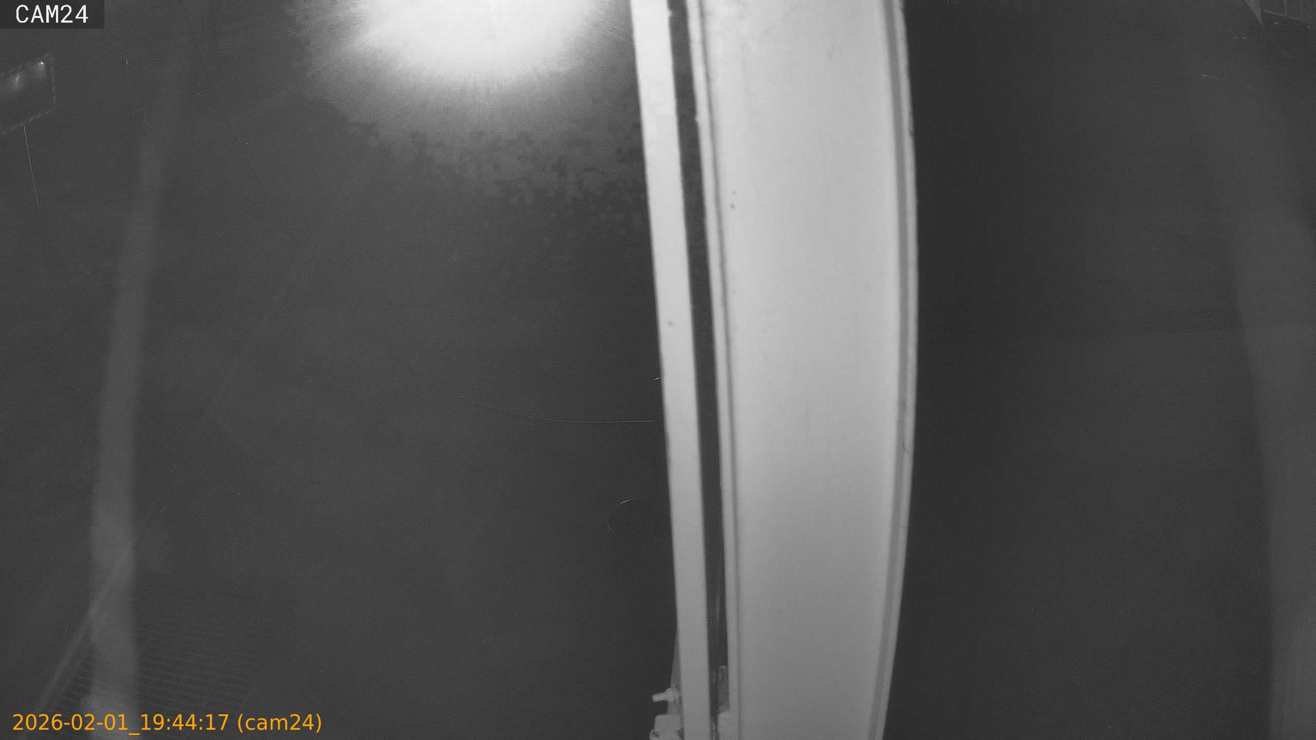 thumbnail_20260201194417