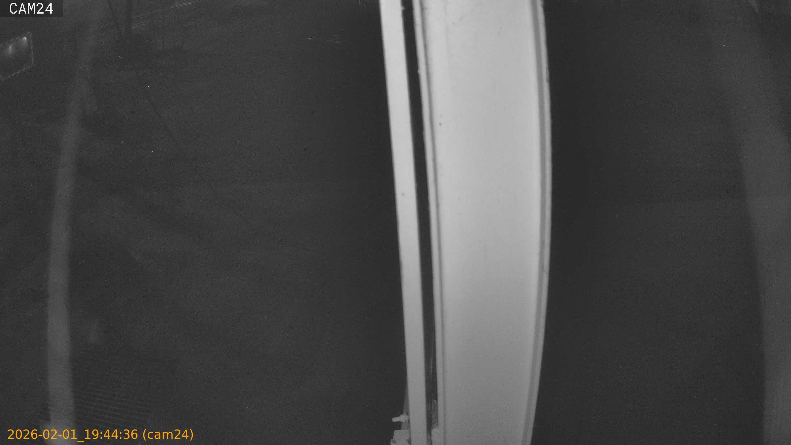 thumbnail_20260201194436