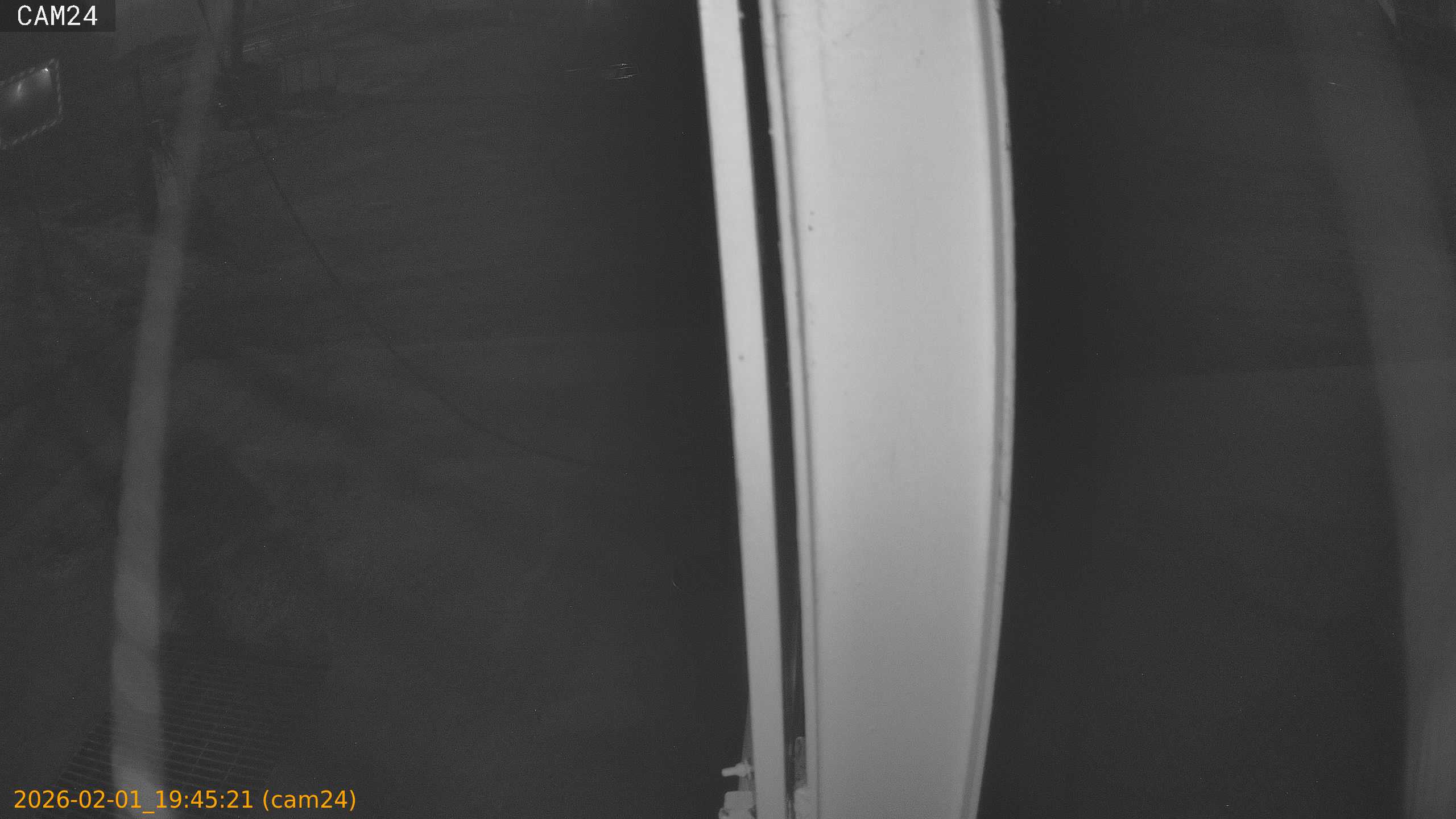 thumbnail_20260201194521