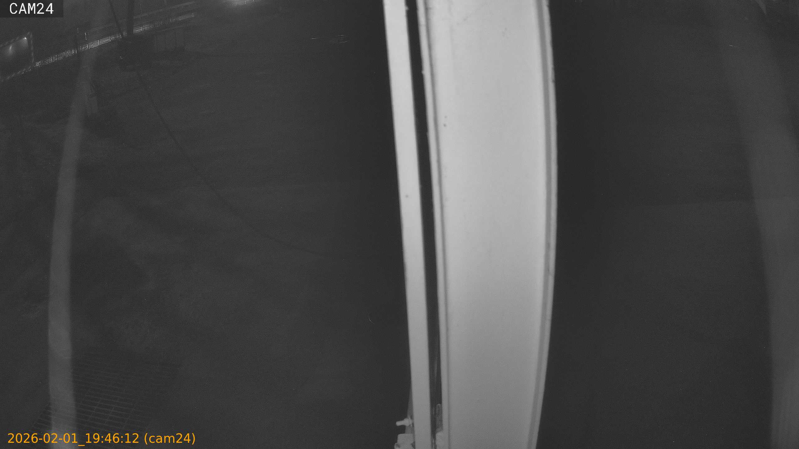 thumbnail_20260201194612