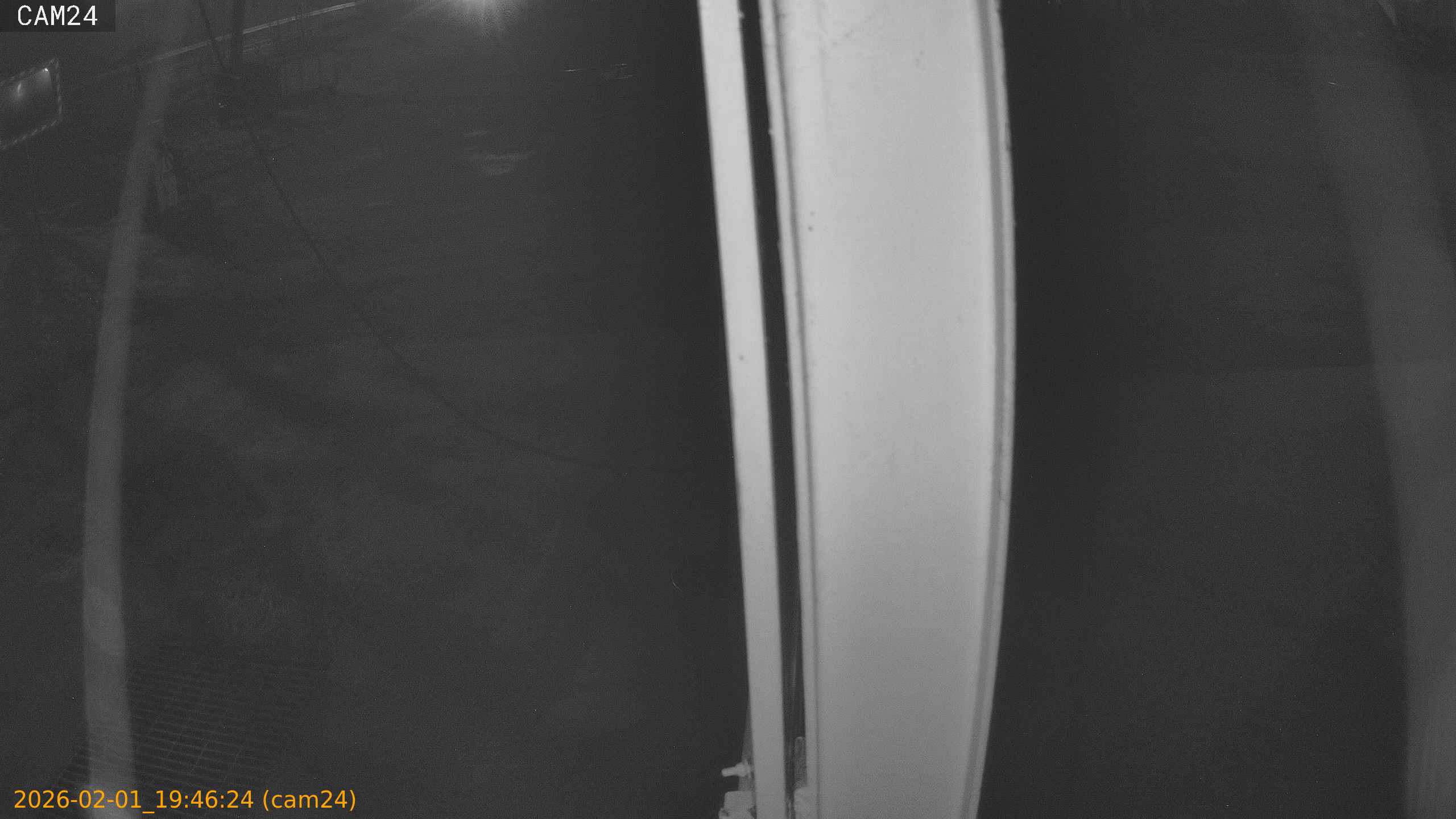 thumbnail_20260201194624