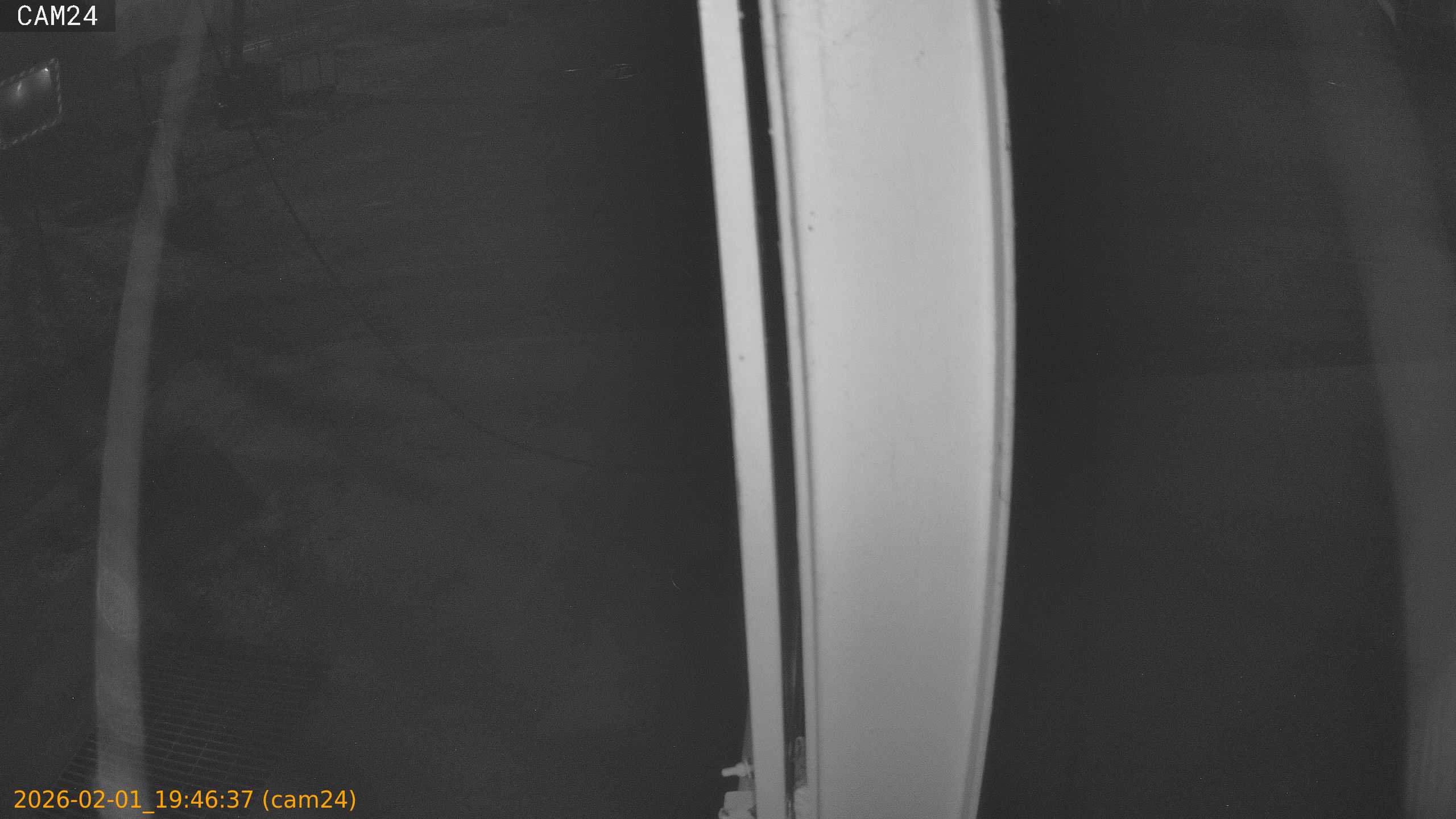 thumbnail_20260201194637