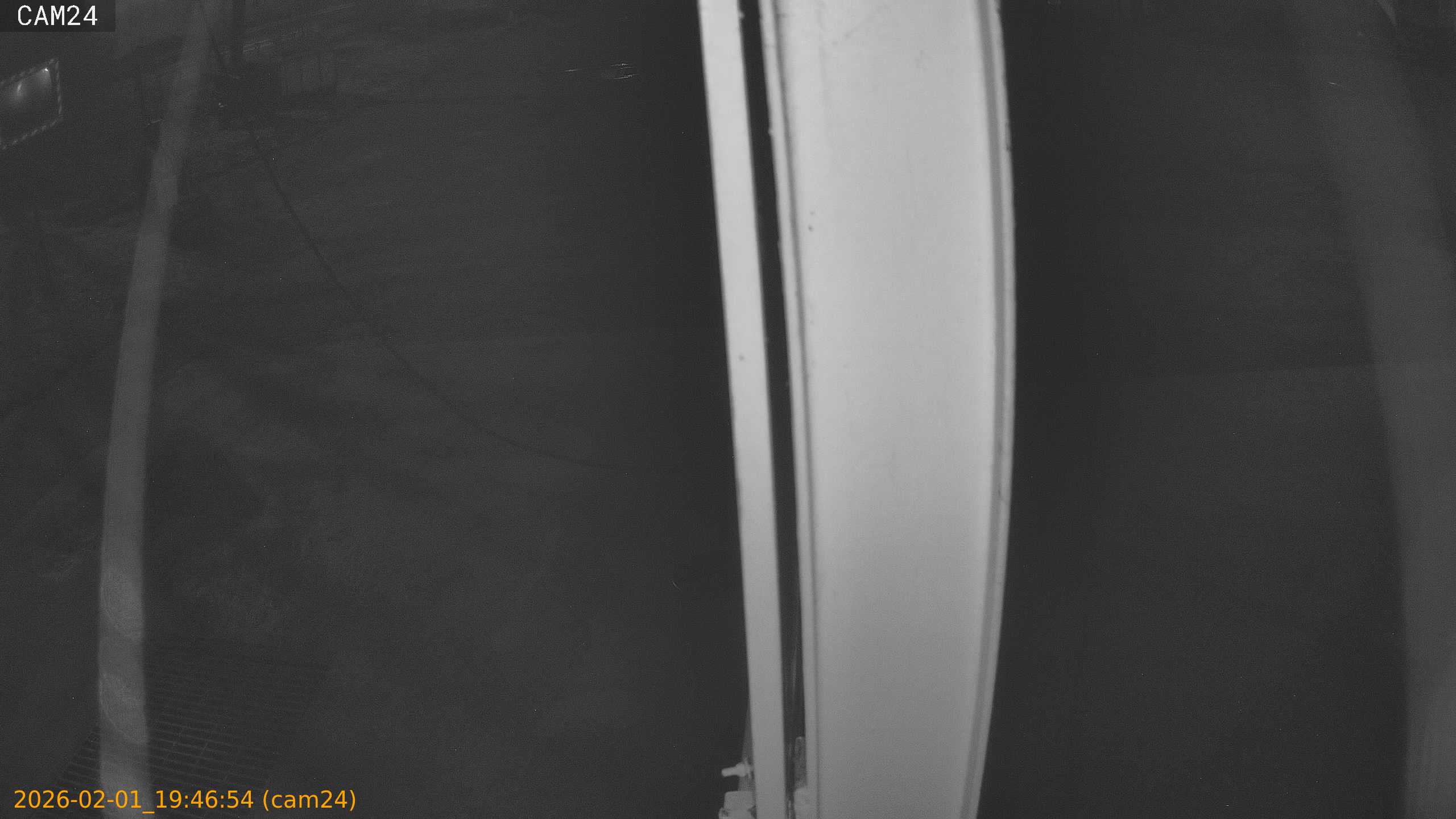 thumbnail_20260201194654