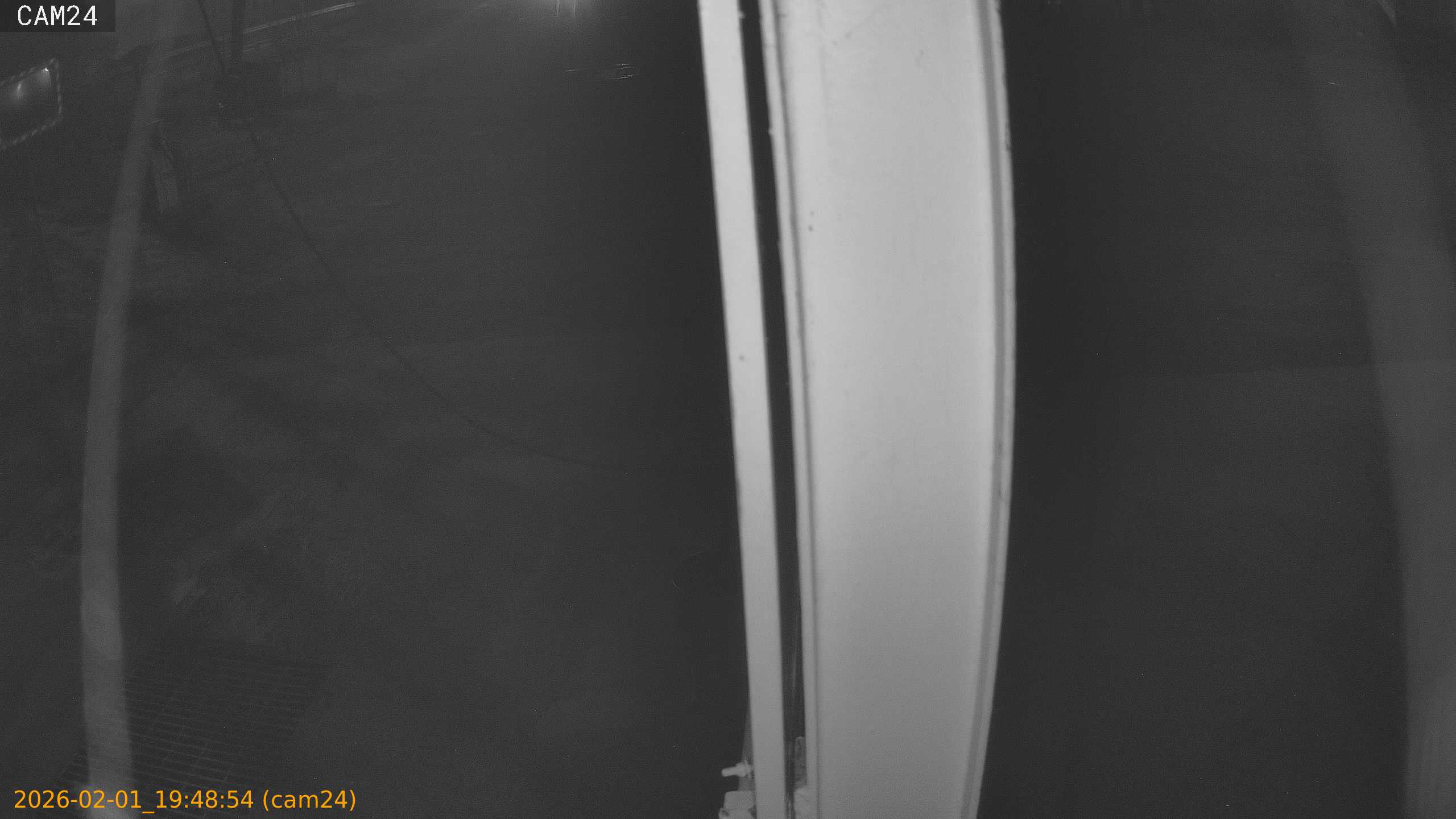 thumbnail_20260201194854