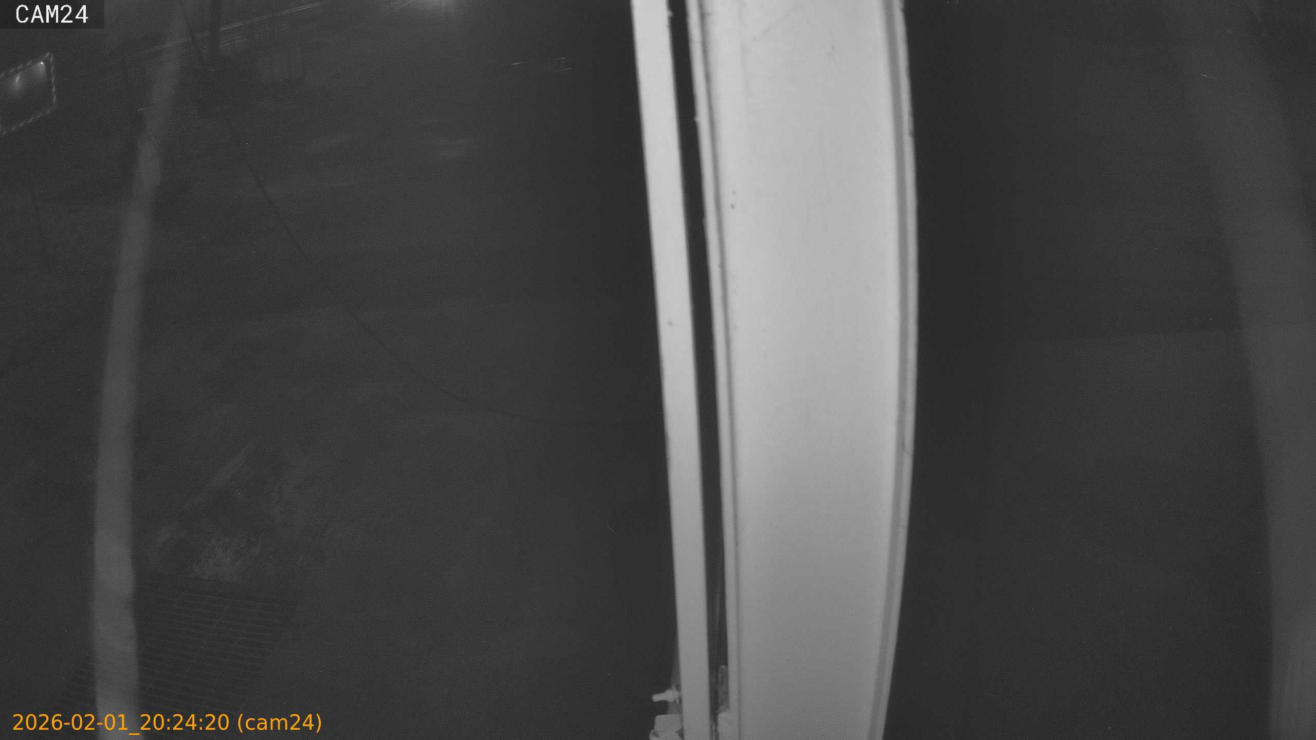 thumbnail_20260201202420