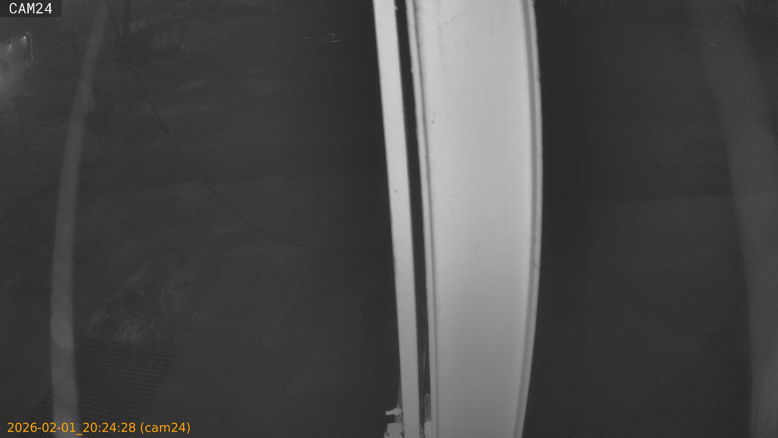 thumbnail_20260201202428