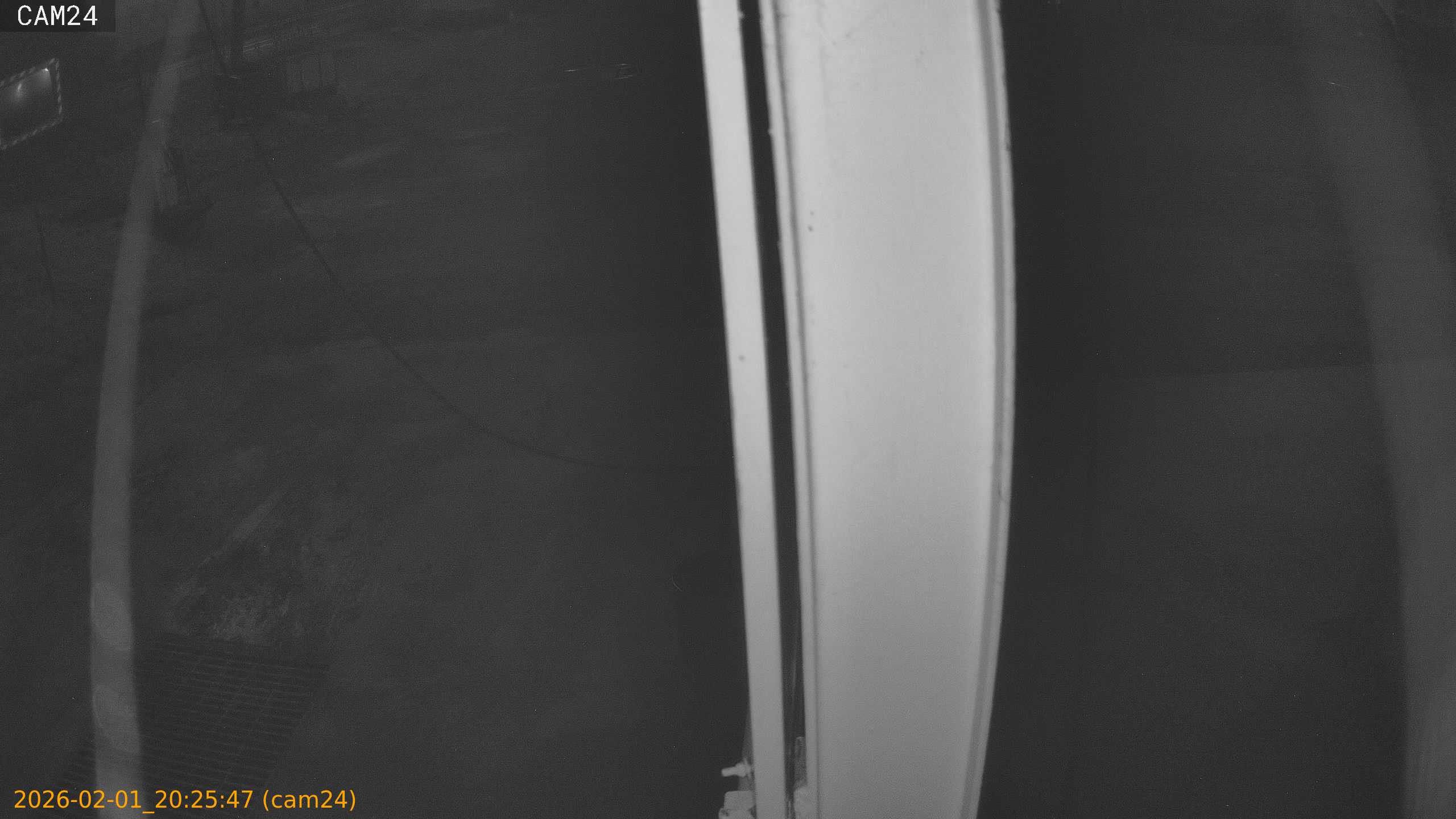 thumbnail_20260201202547