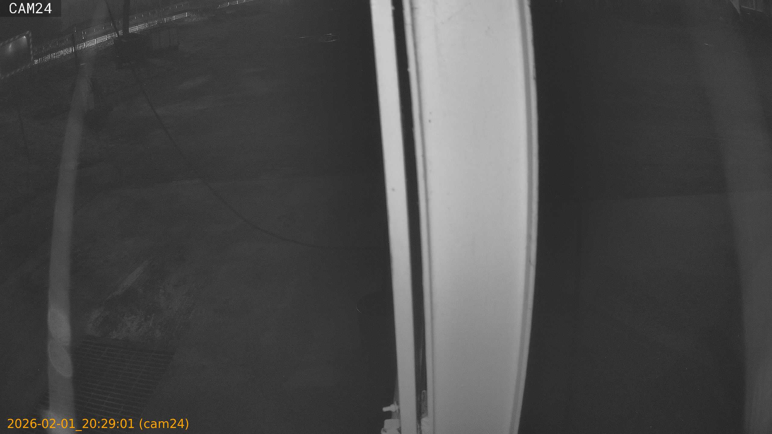 thumbnail_20260201202901