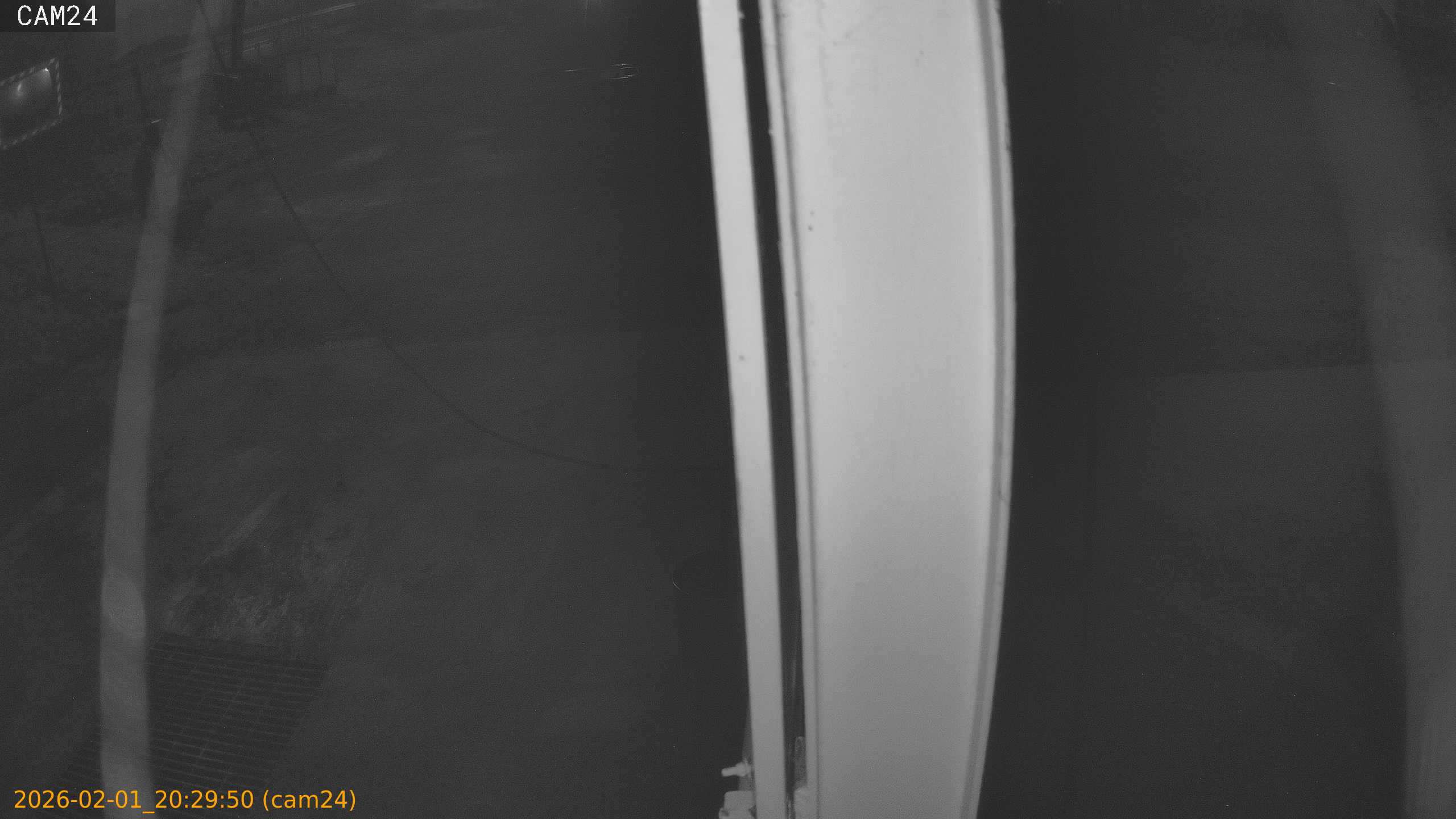 thumbnail_20260201202950