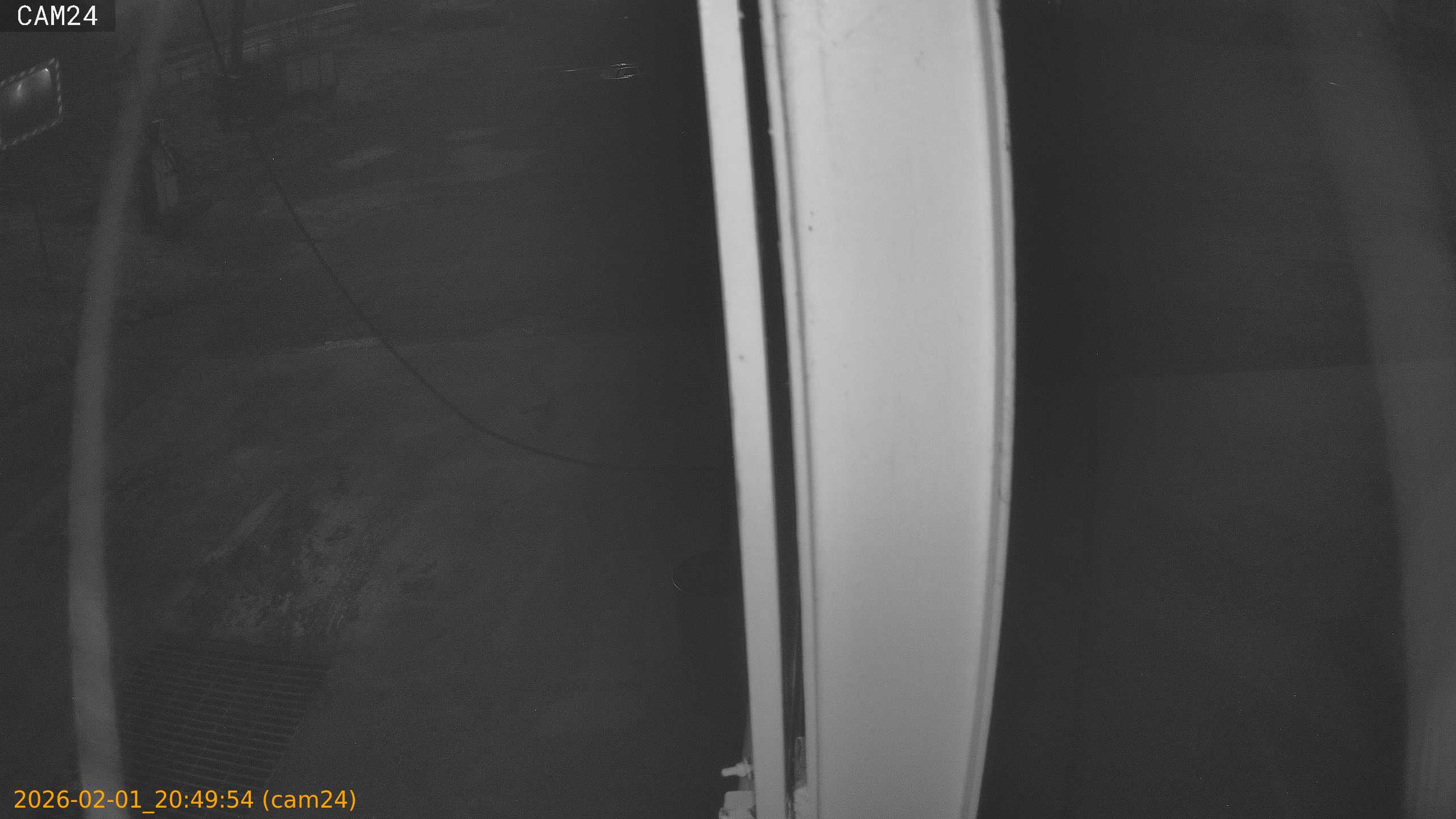 thumbnail_20260201204954