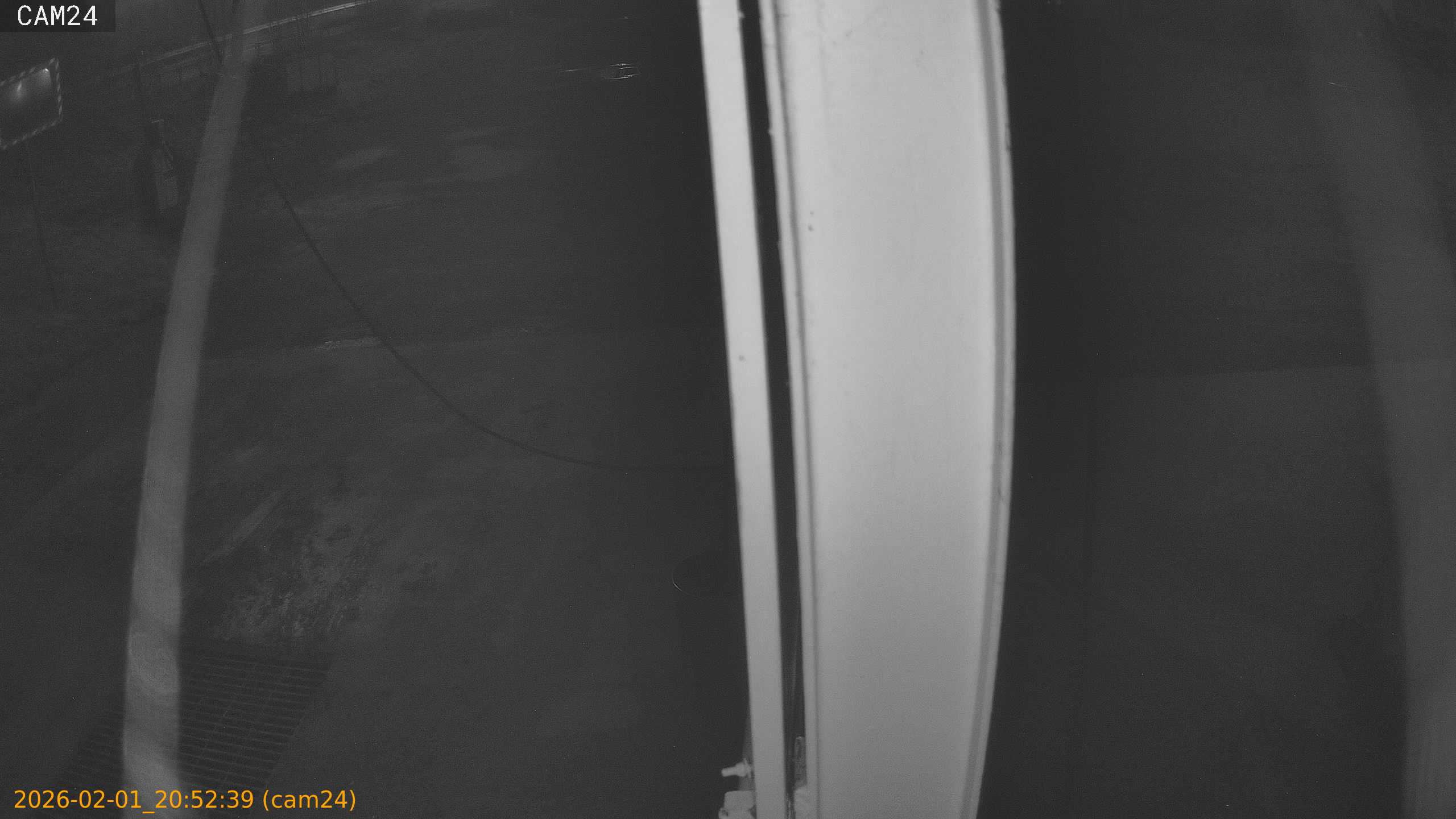 thumbnail_20260201205239