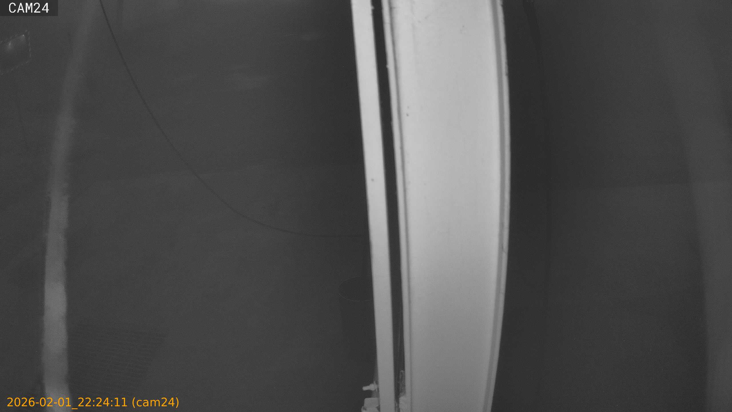 thumbnail_20260201222411