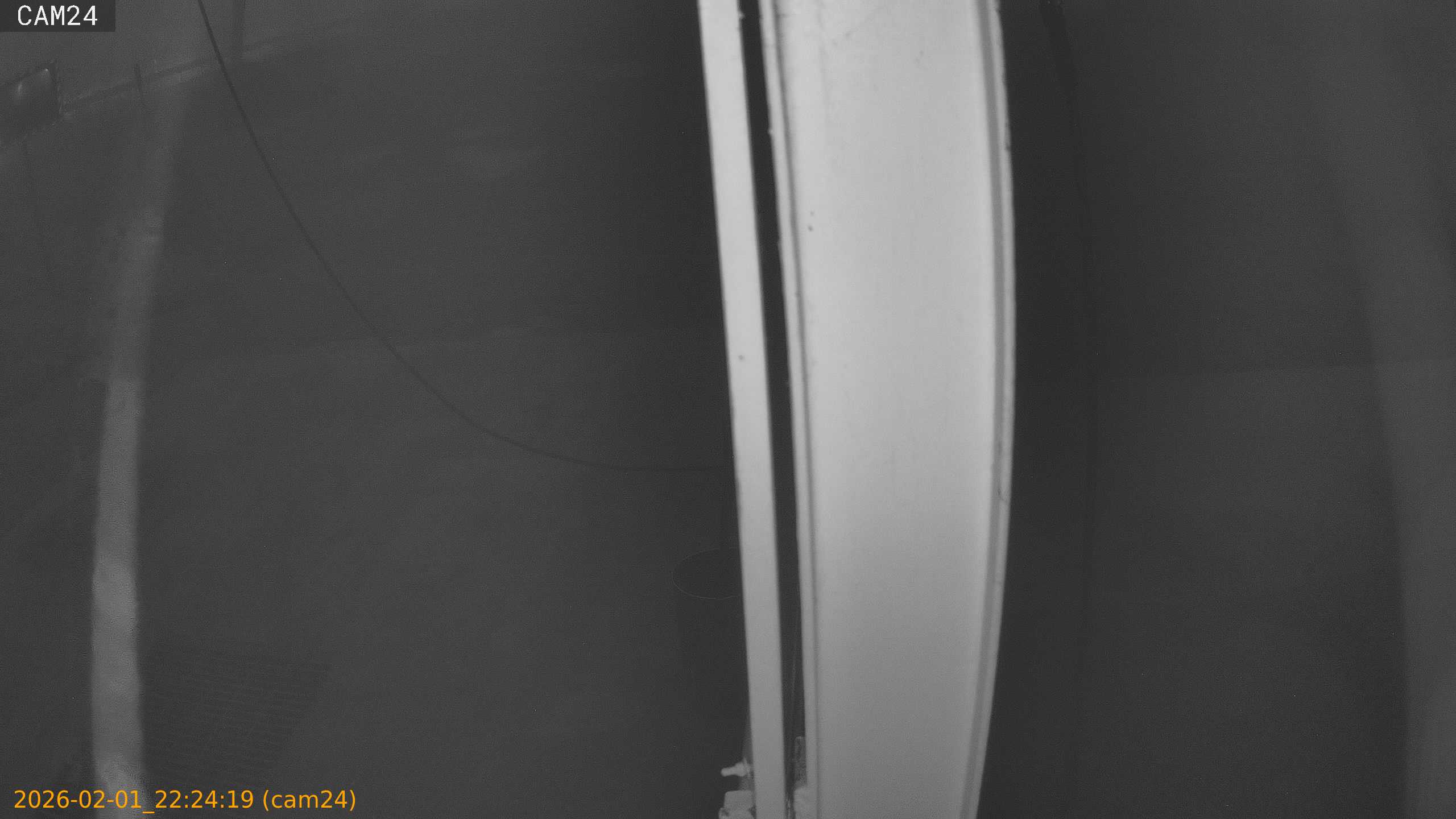 thumbnail_20260201222419